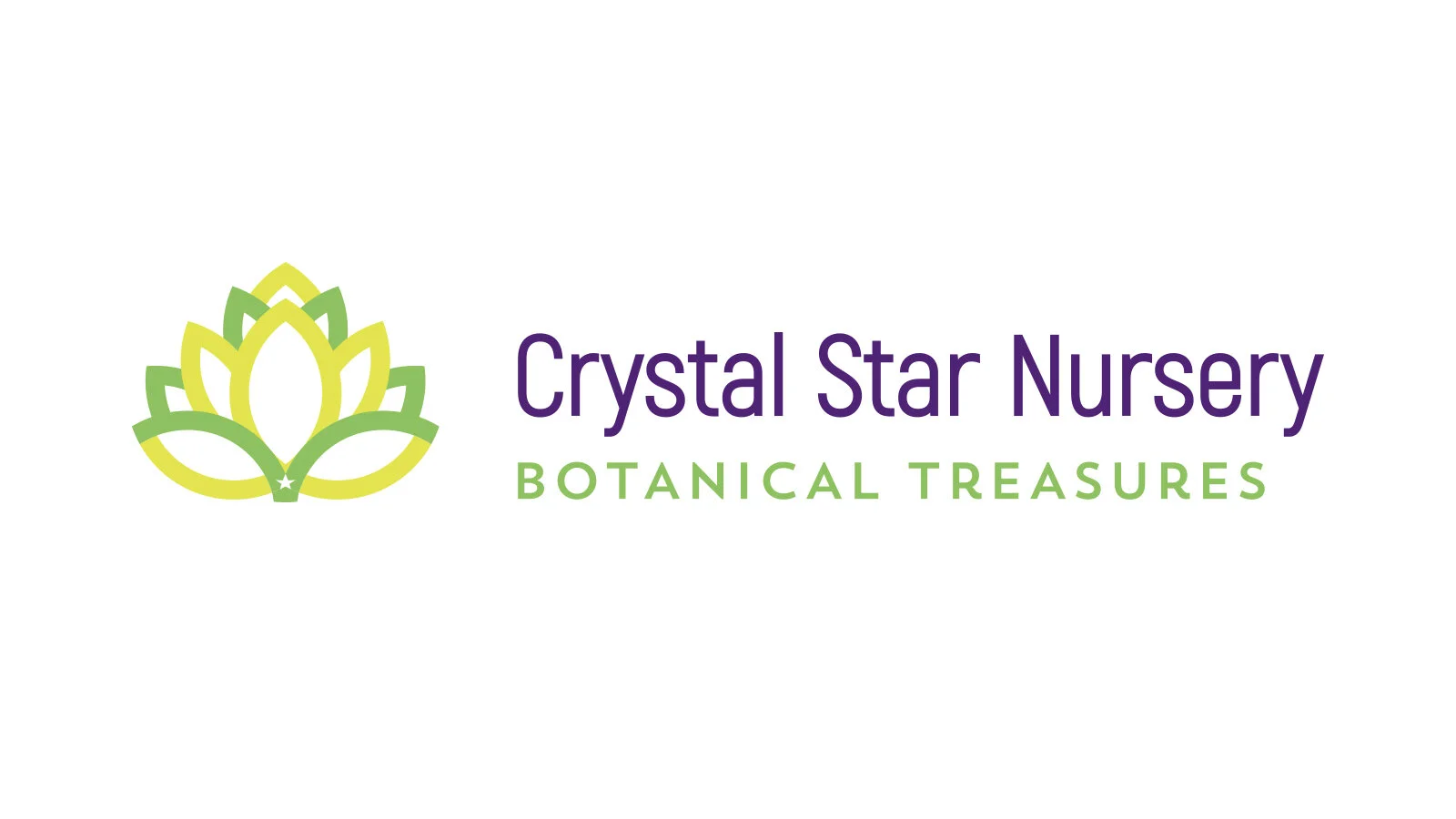 !Carve Crystal Star.jpg
