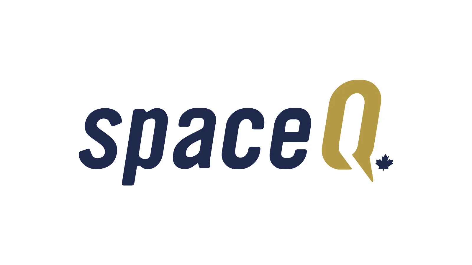 !Carve SpaceQ.jpg