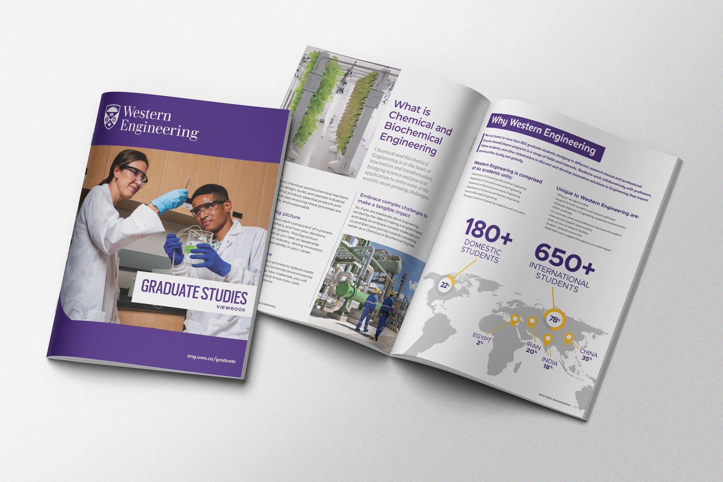 ENG Grad Studies Mock.jpg