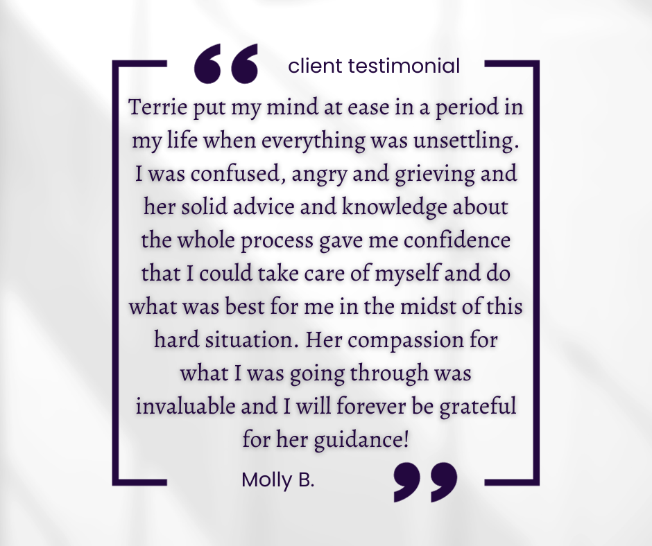 Modern Divorce Solutions Client Testimonial.png