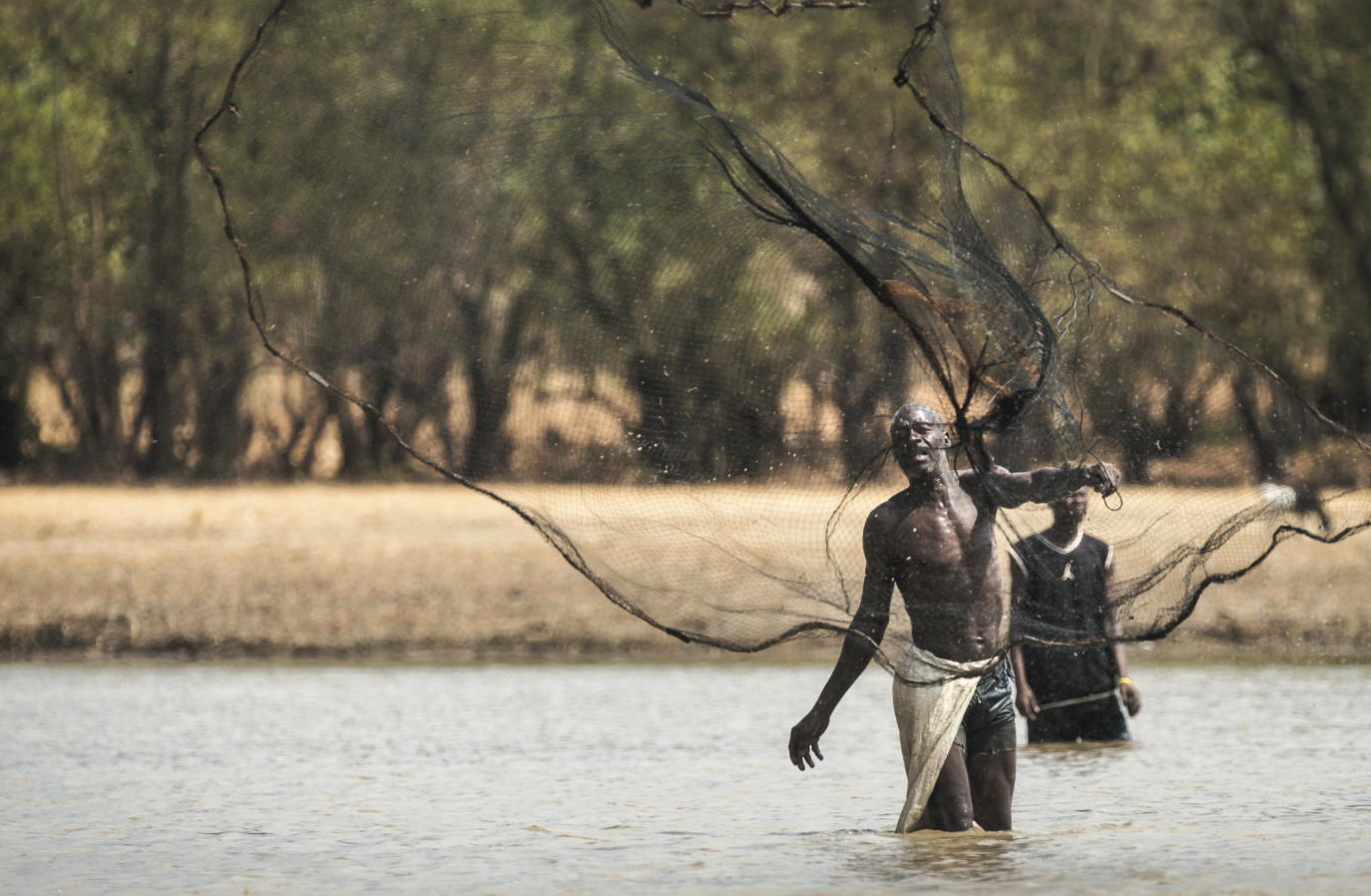 Screen Shot 2019-09-23 at 1.14.59 PM.png