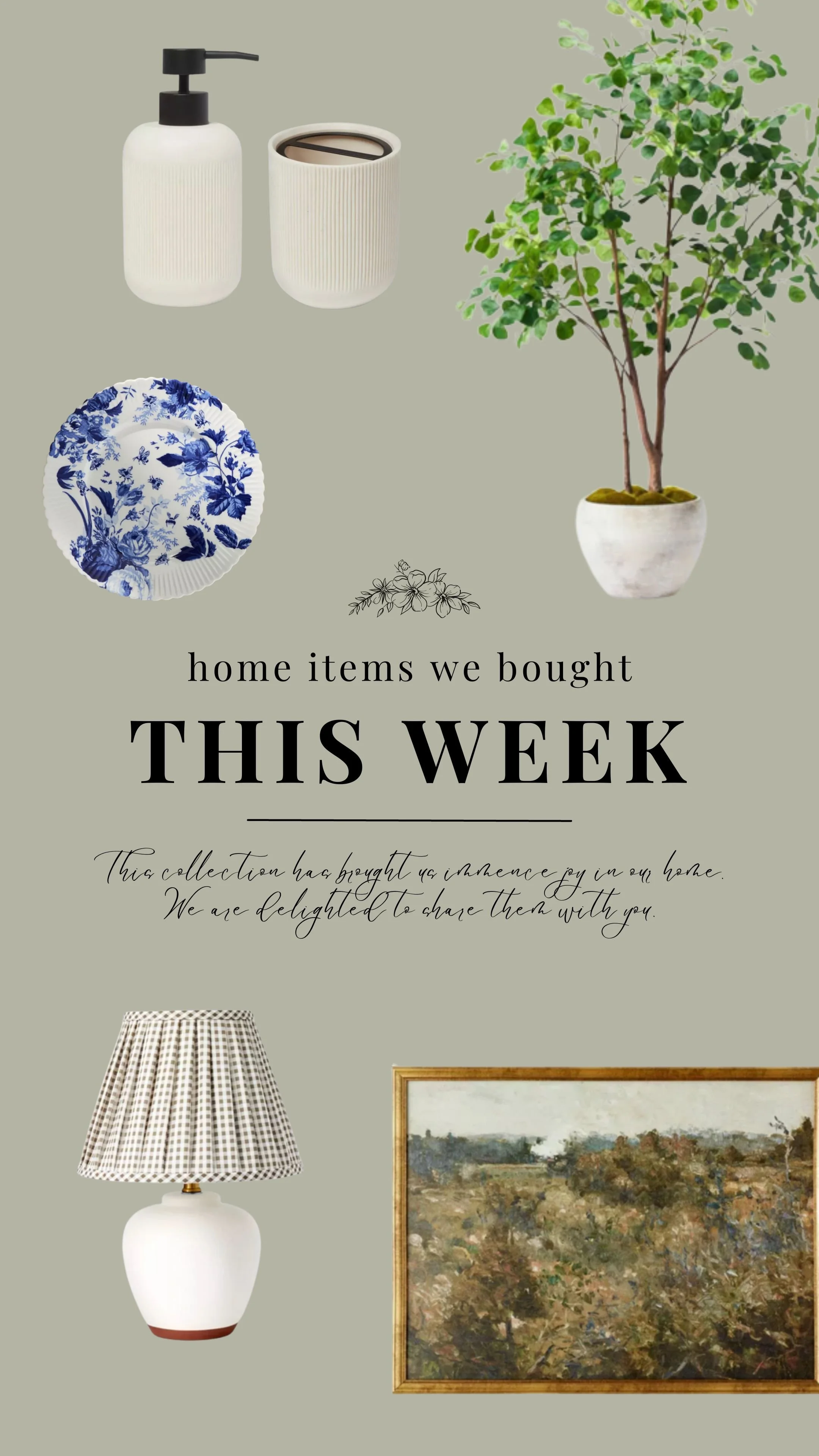 Home Items We Bought This Week