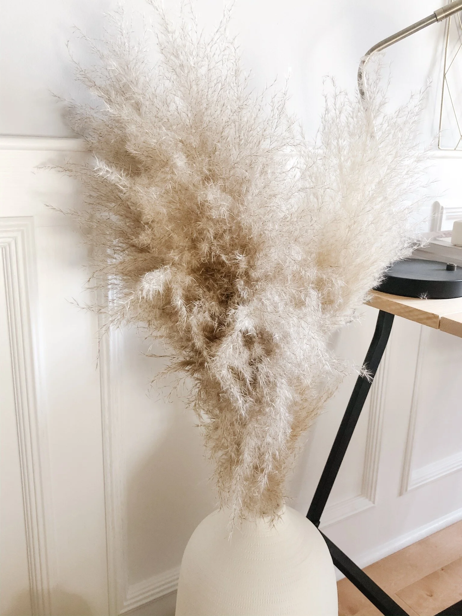 Pampas grass