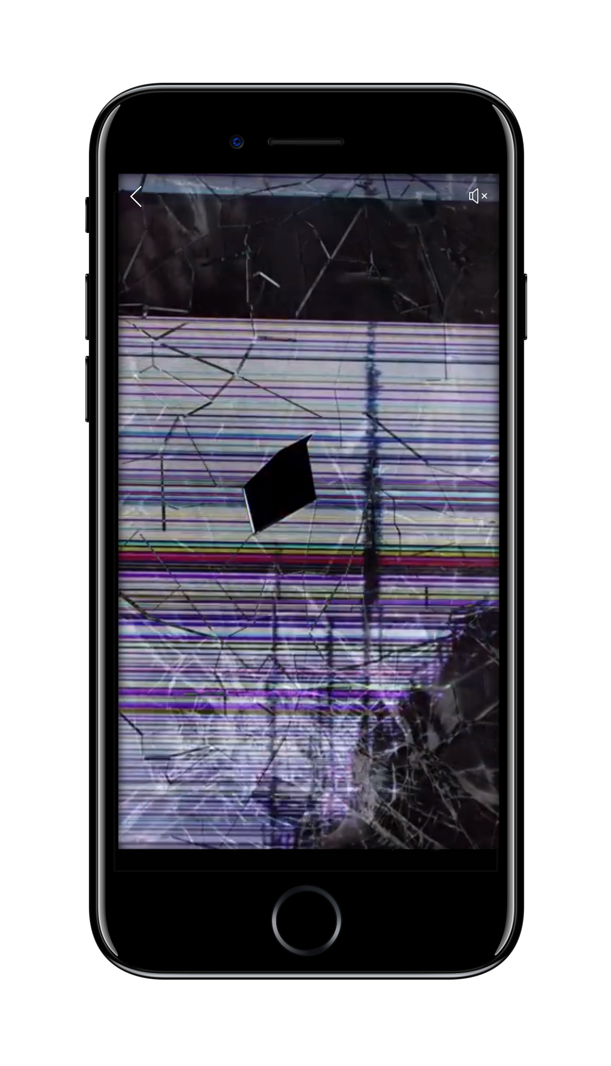 03.png