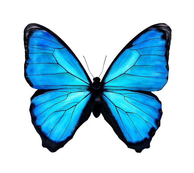 Blue Butterfly Holistic Wellness