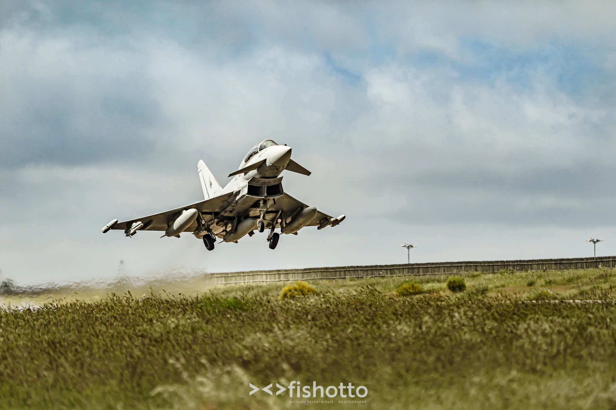 TigerMeet_2021_Best_Color_2500-3.jpg