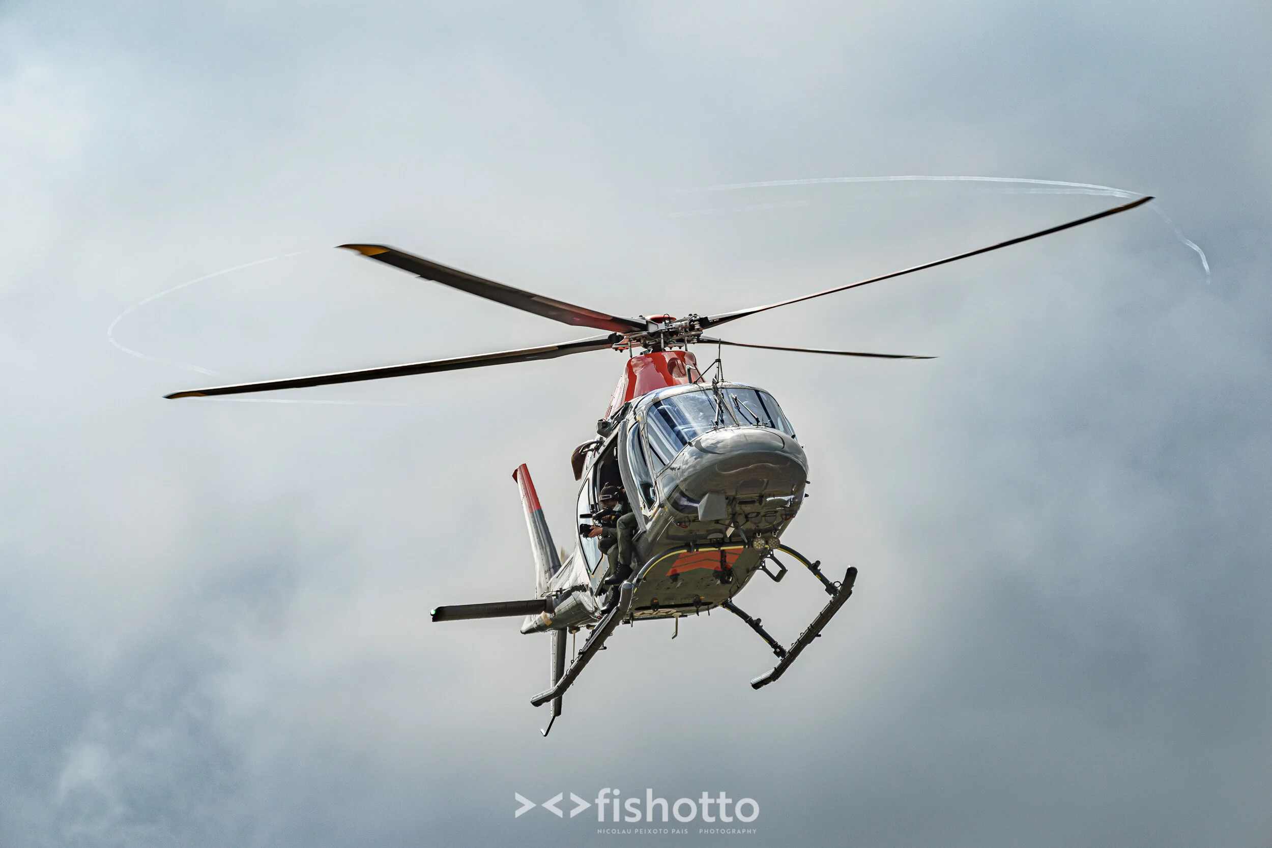 TigerMeet_2021_Best_Color_2500-6.jpg