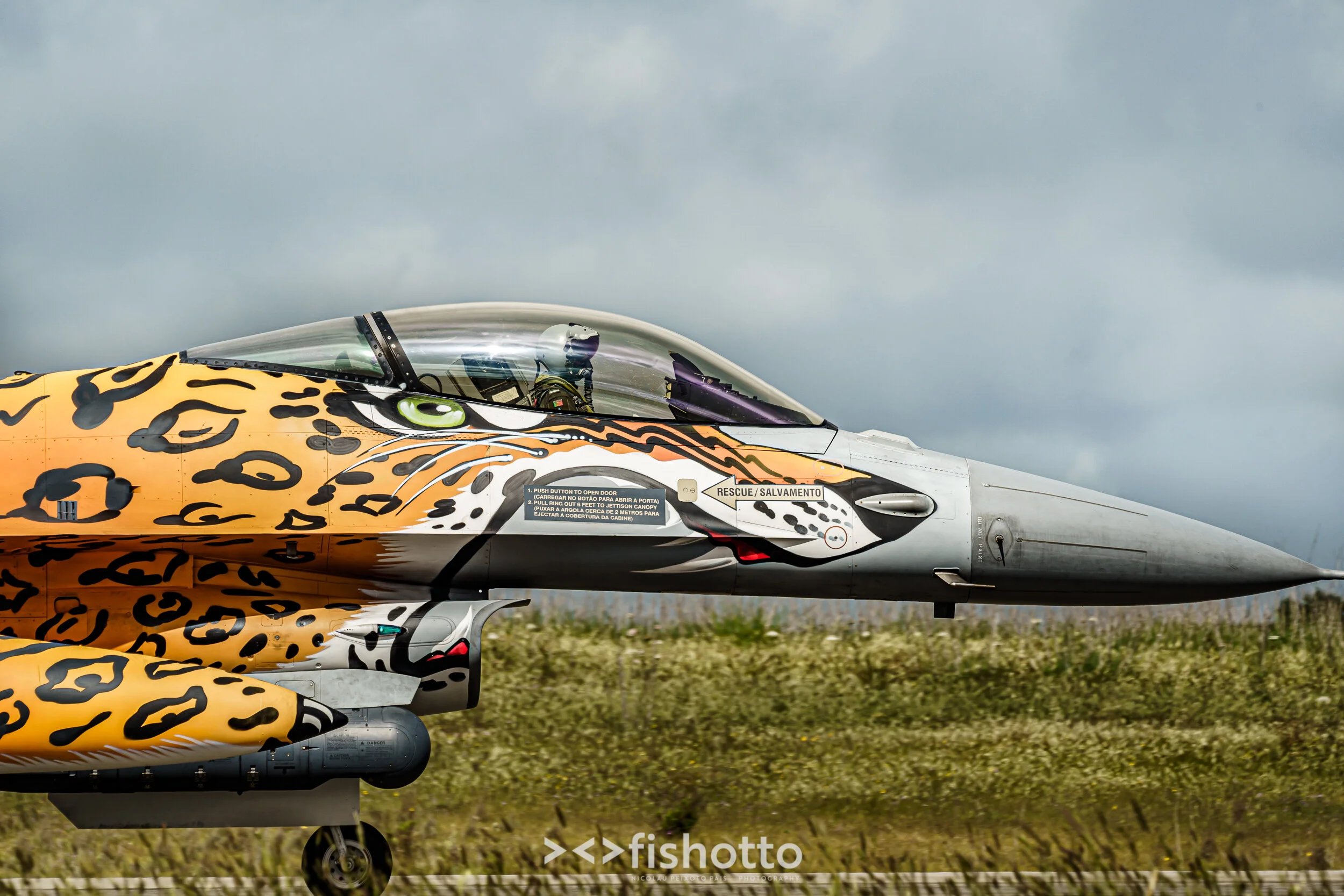 TigerMeet_2021_Best_Color_2500-13.jpg