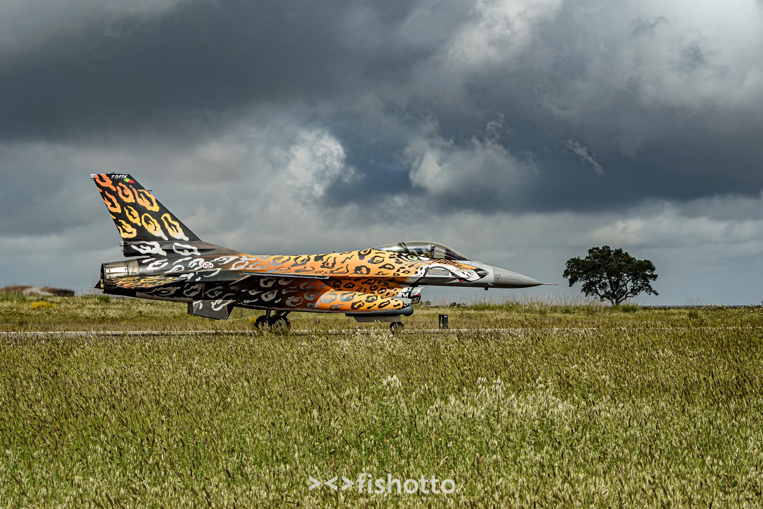 TigerMeet_2021_Best_Color_2500-14.jpg
