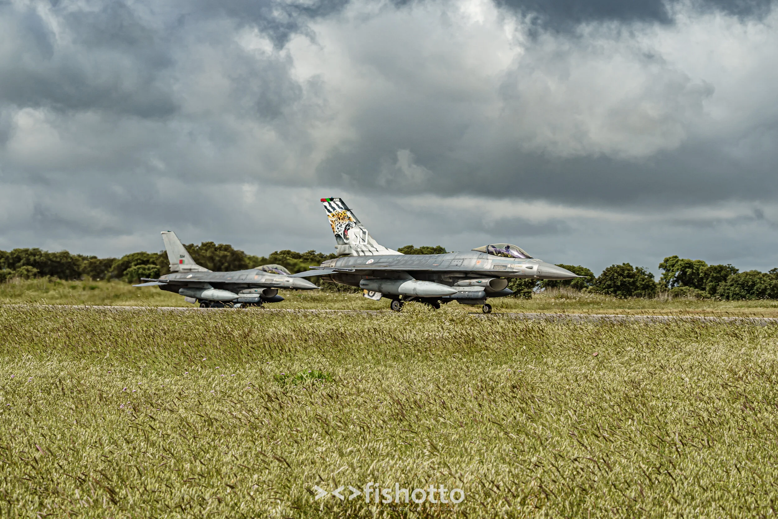 TigerMeet_2021_Best_Color_2500-15.jpg