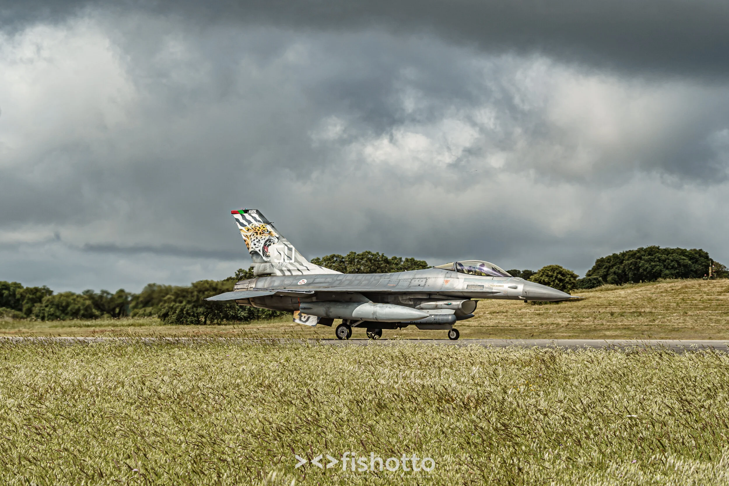 TigerMeet_2021_Best_Color_2500-16.jpg
