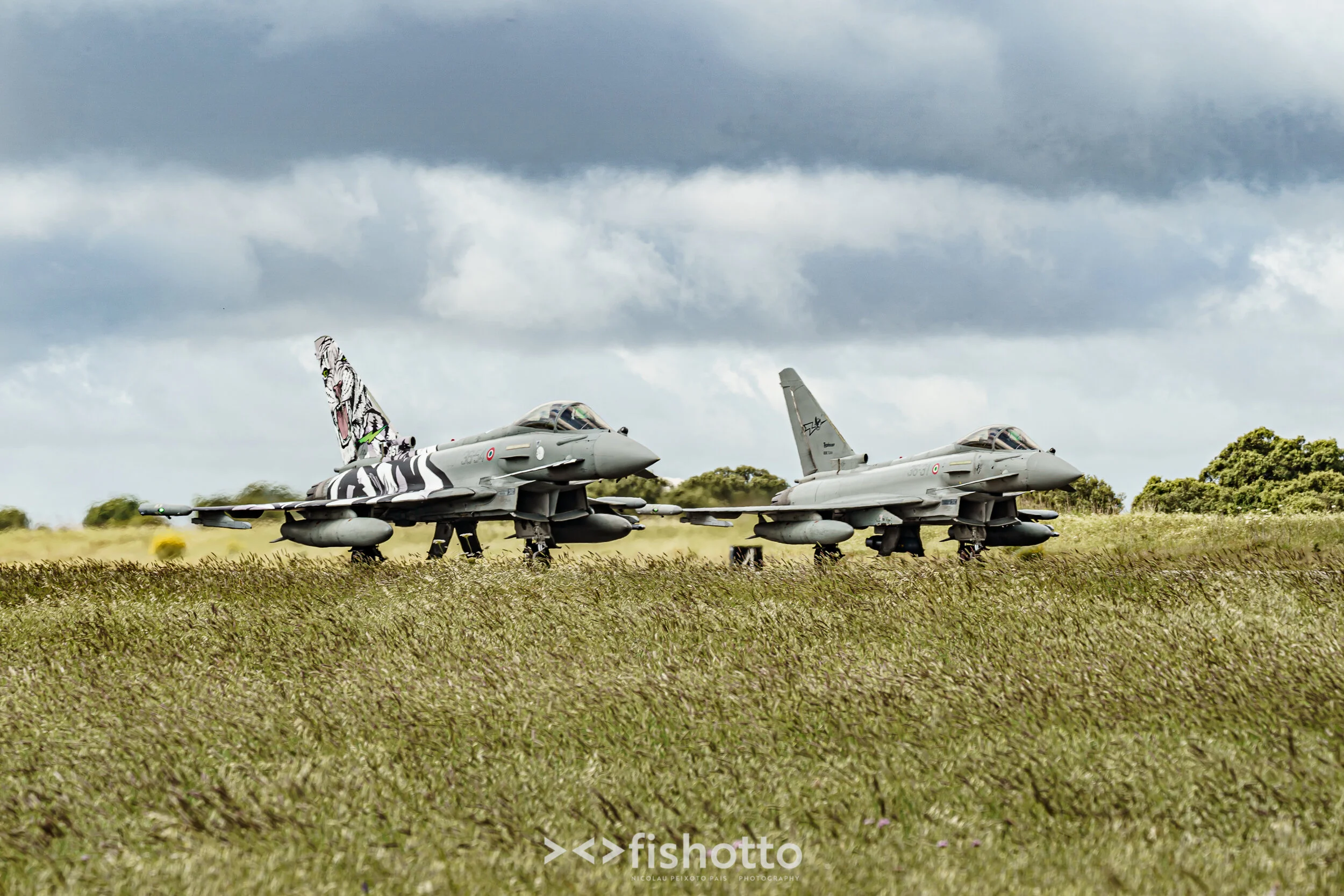 TigerMeet_2021_Best_Color_2500-17.jpg