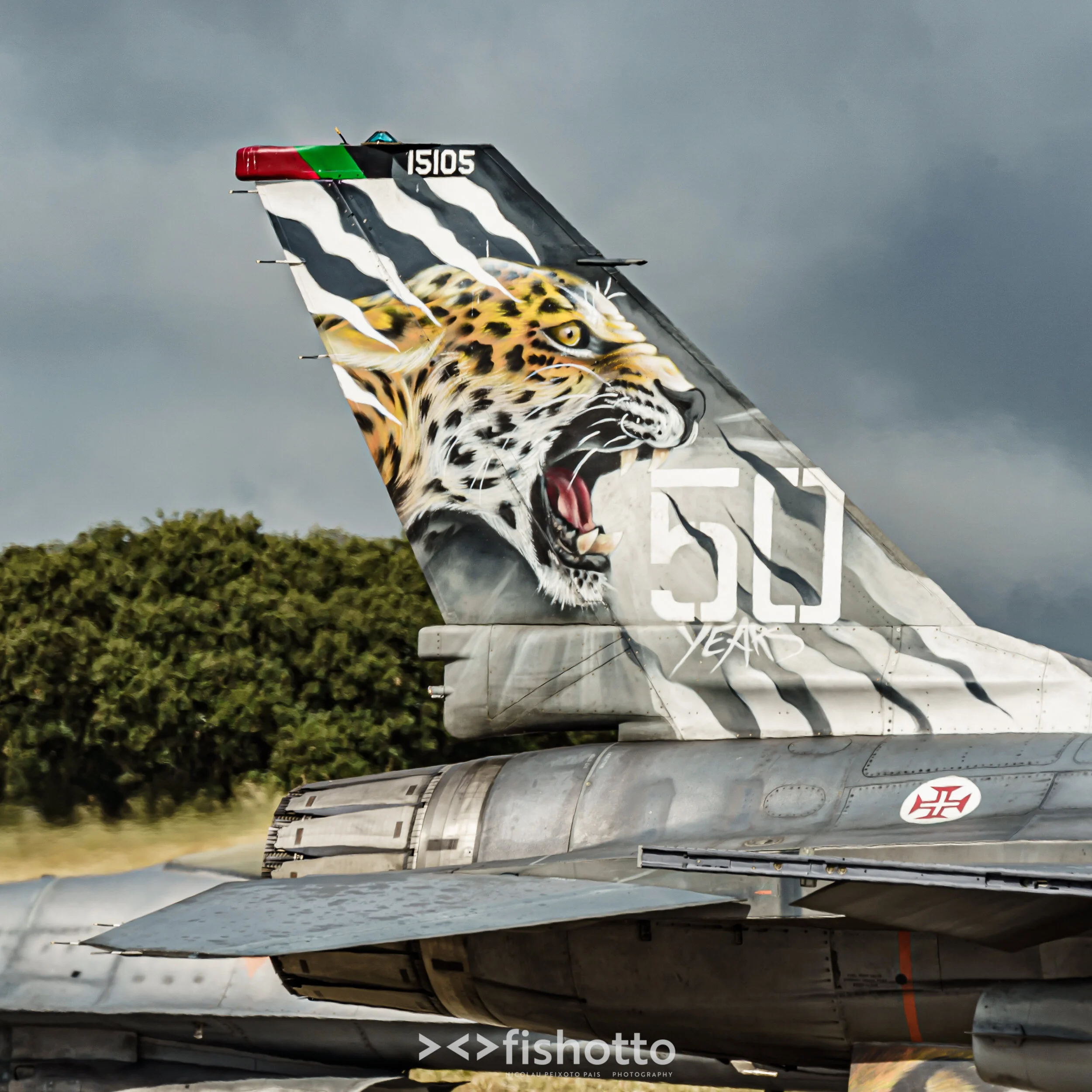 TigerMeet_2021_Best_Color_2500-19.jpg