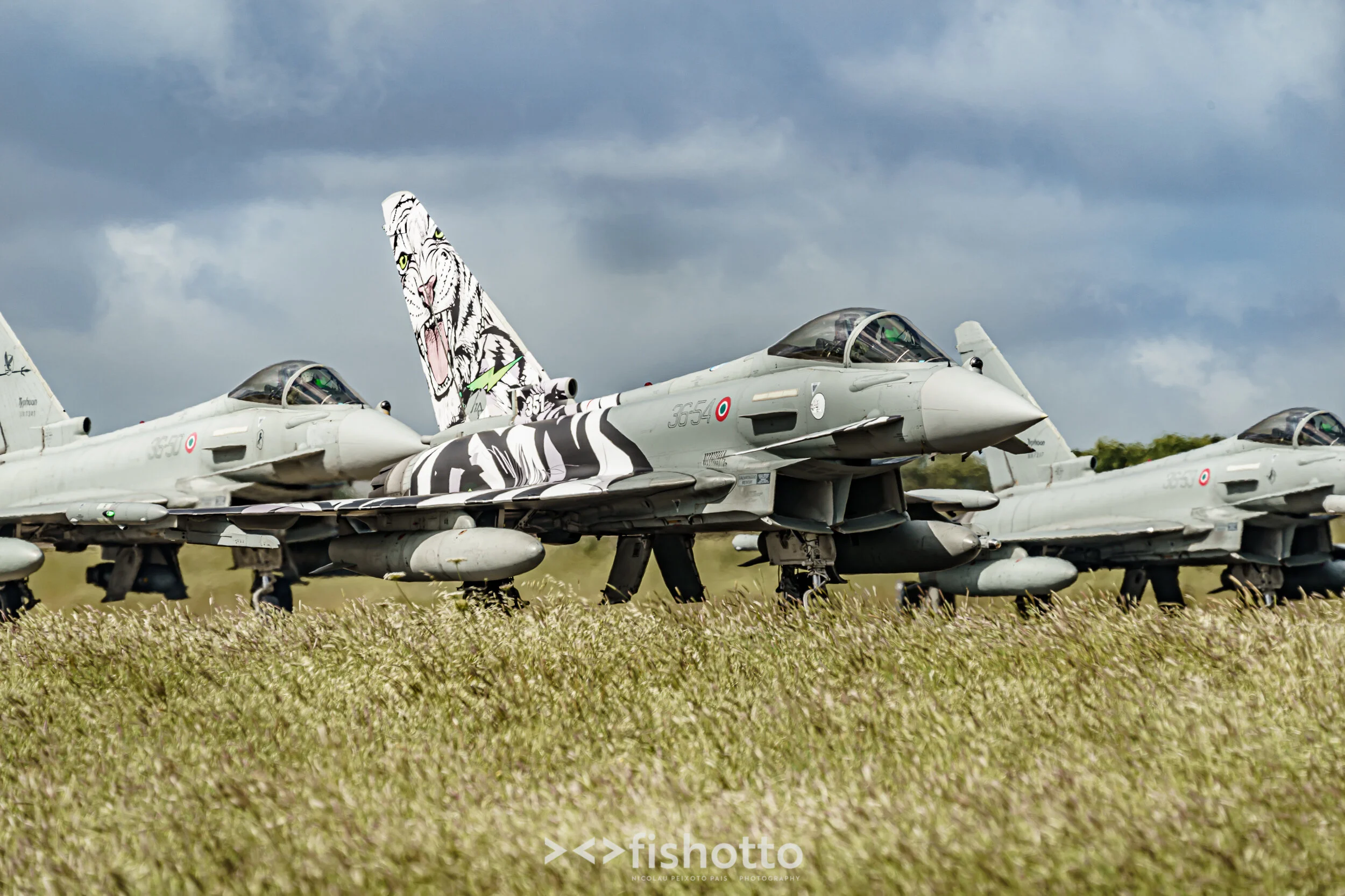 TigerMeet_2021_Best_Color_2500-20.jpg