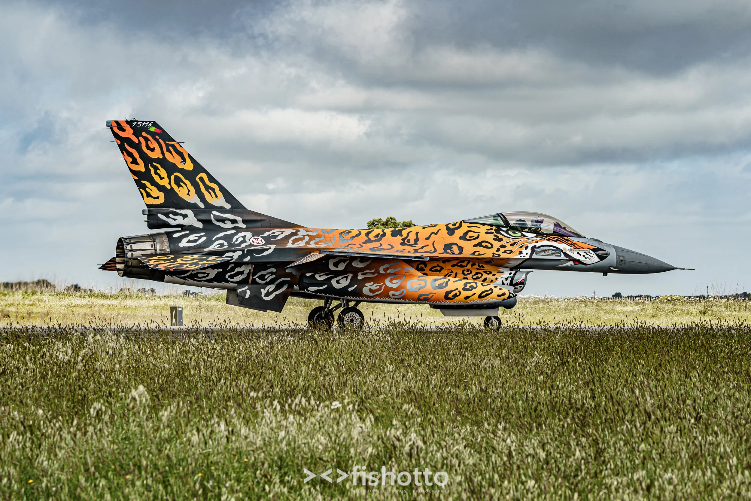 TigerMeet_2021_Best_Color_2500-21.jpg