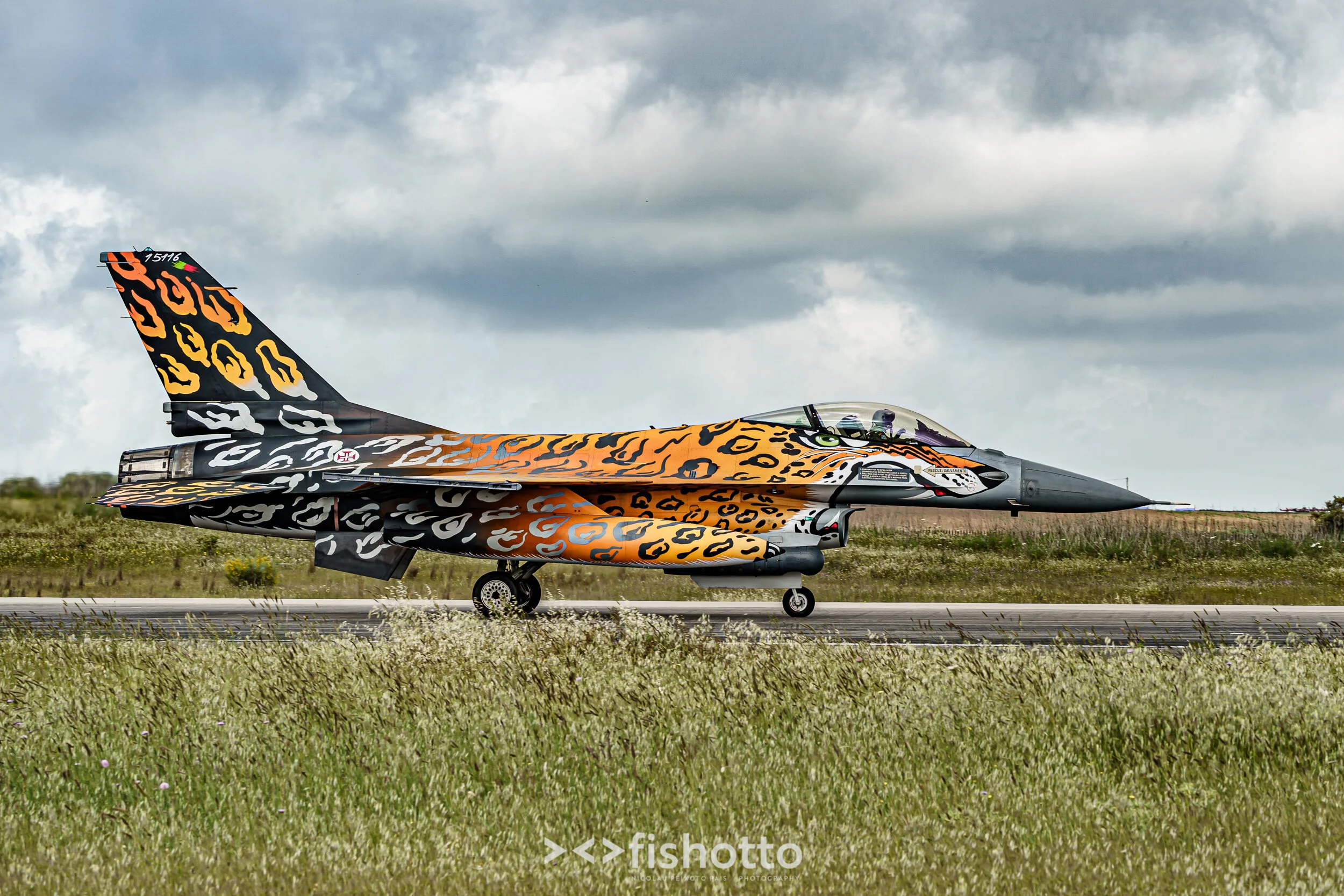 TigerMeet_2021_Best_Color_2500-22.jpg