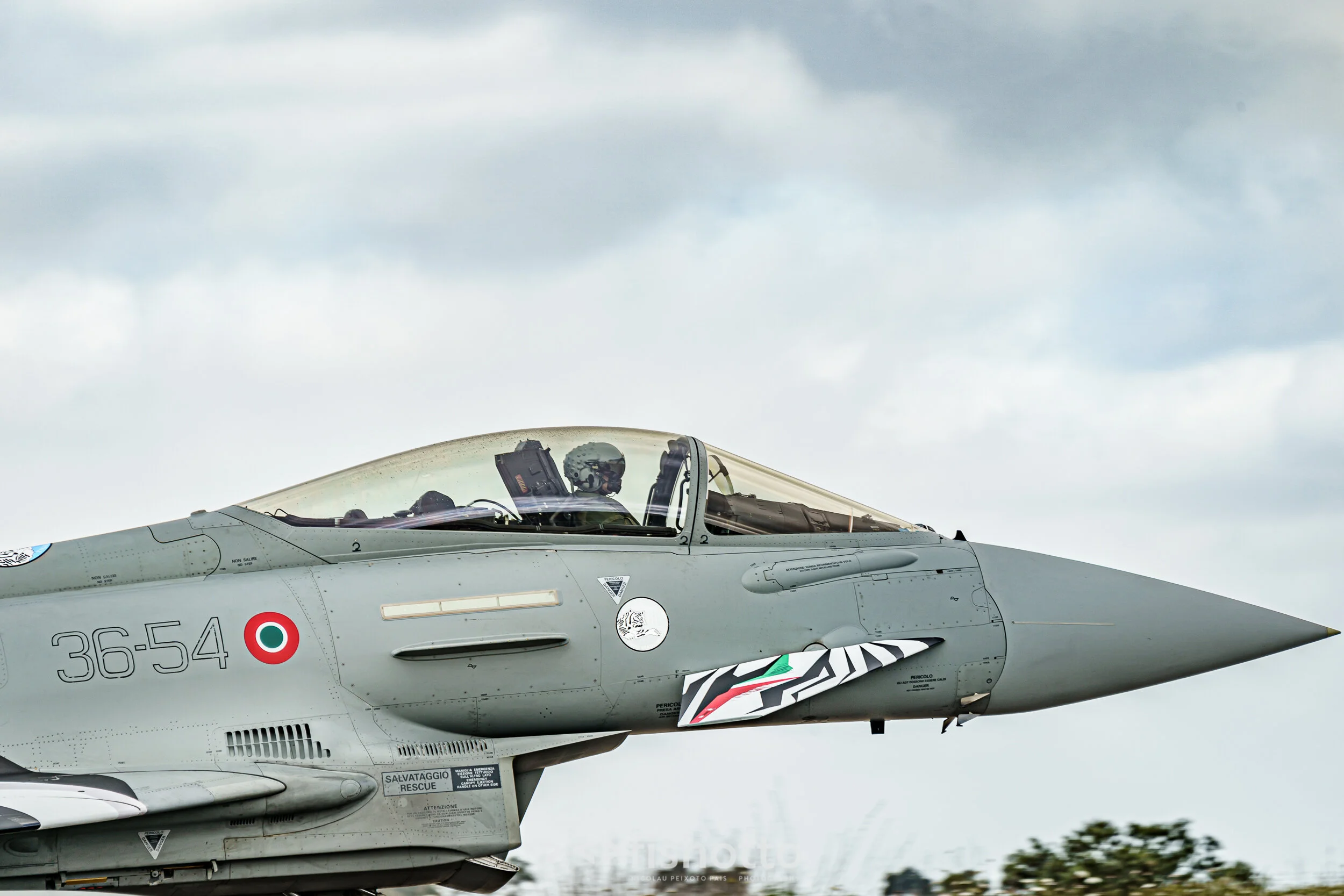 TigerMeet_2021_Best_Color_2500-24.jpg