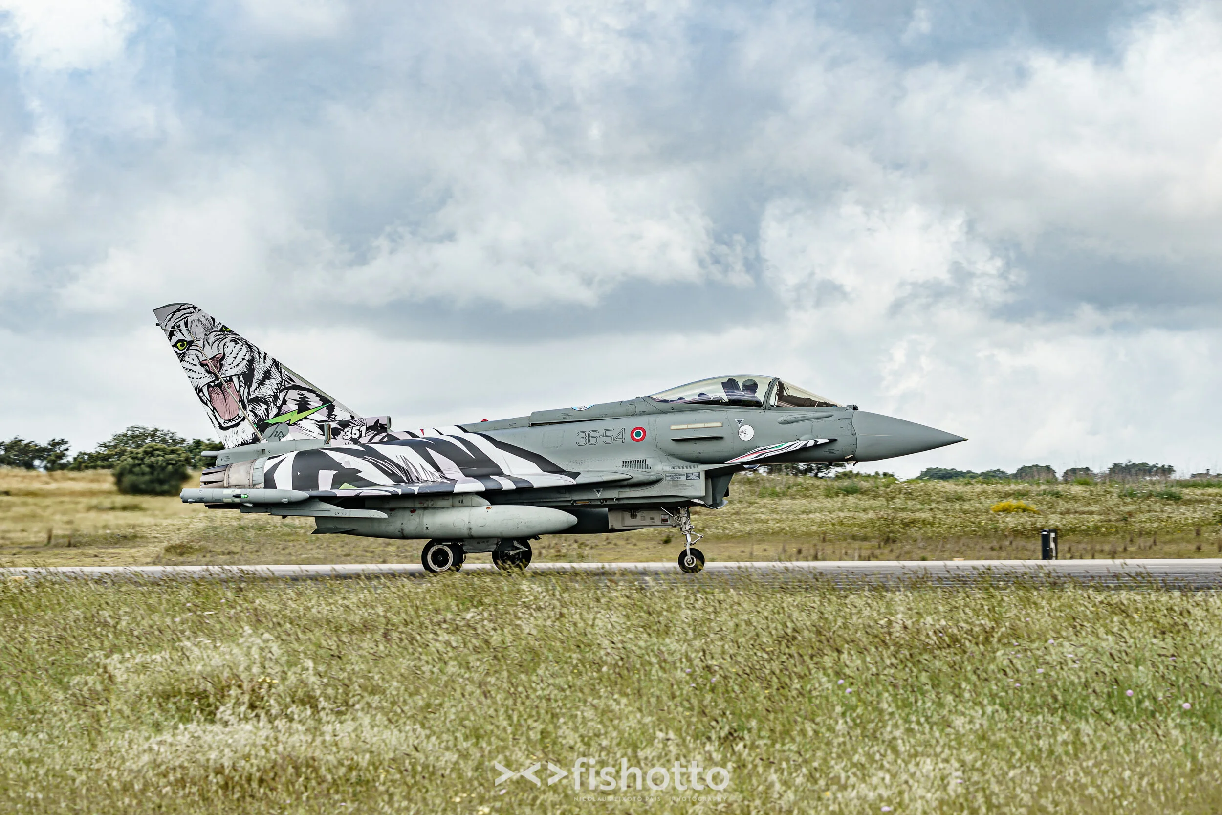 TigerMeet_2021_Best_Color_2500-23.jpg