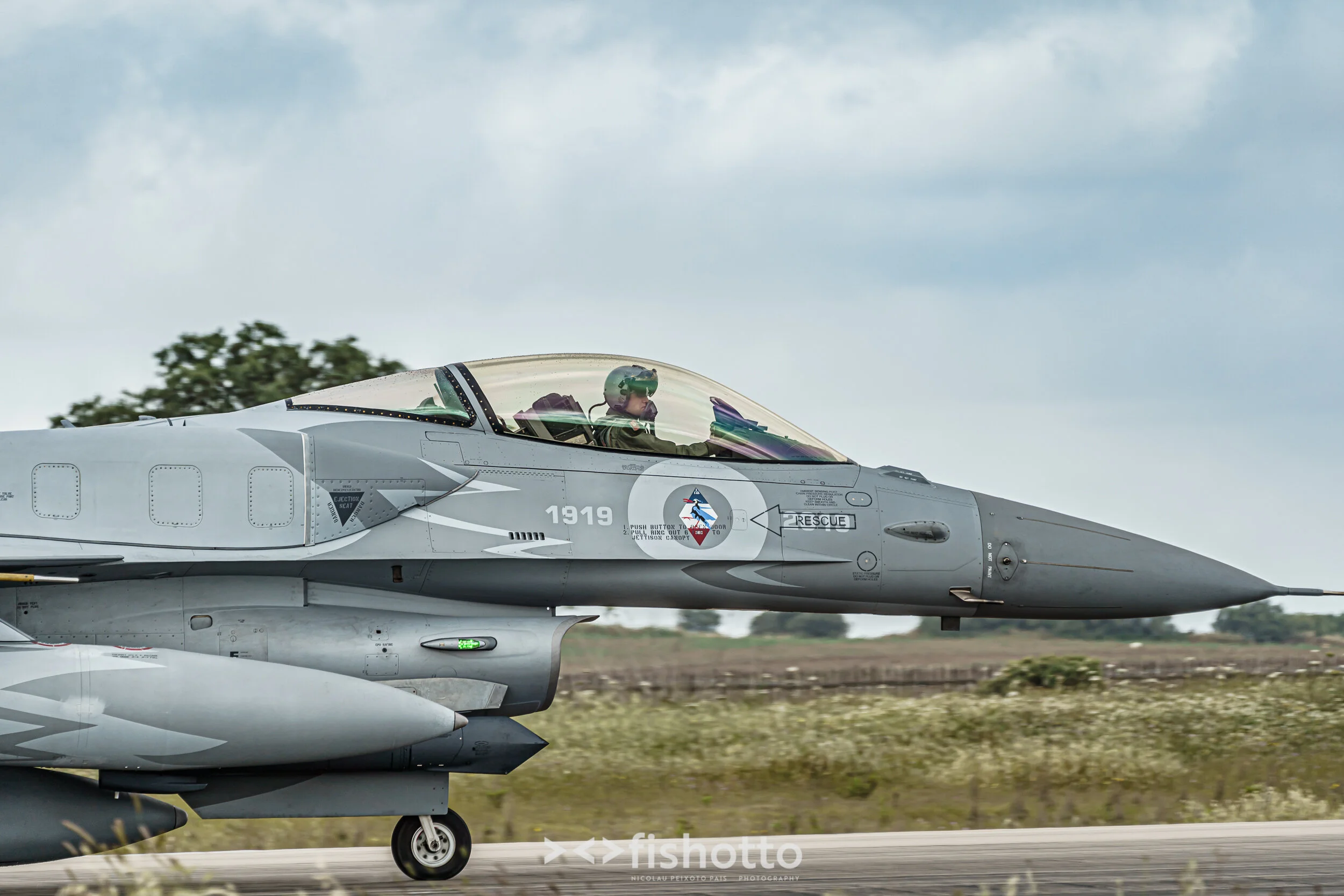 TigerMeet_2021_Best_Color_2500-25.jpg