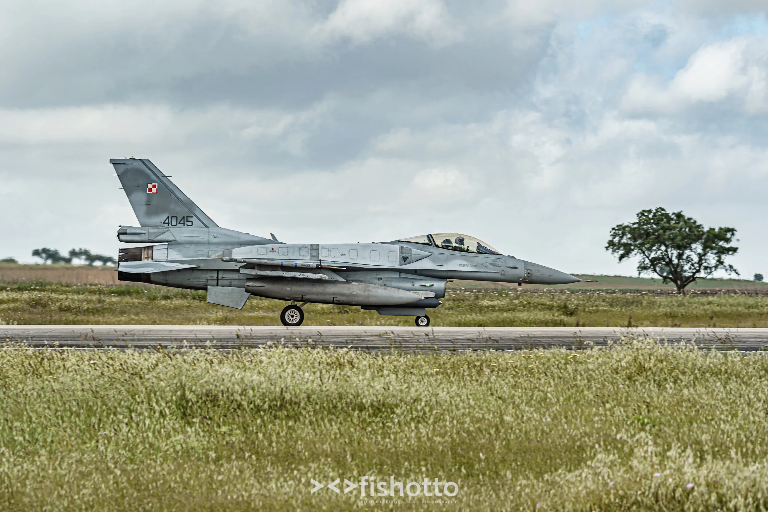 TigerMeet_2021_Best_Color_2500-26.jpg