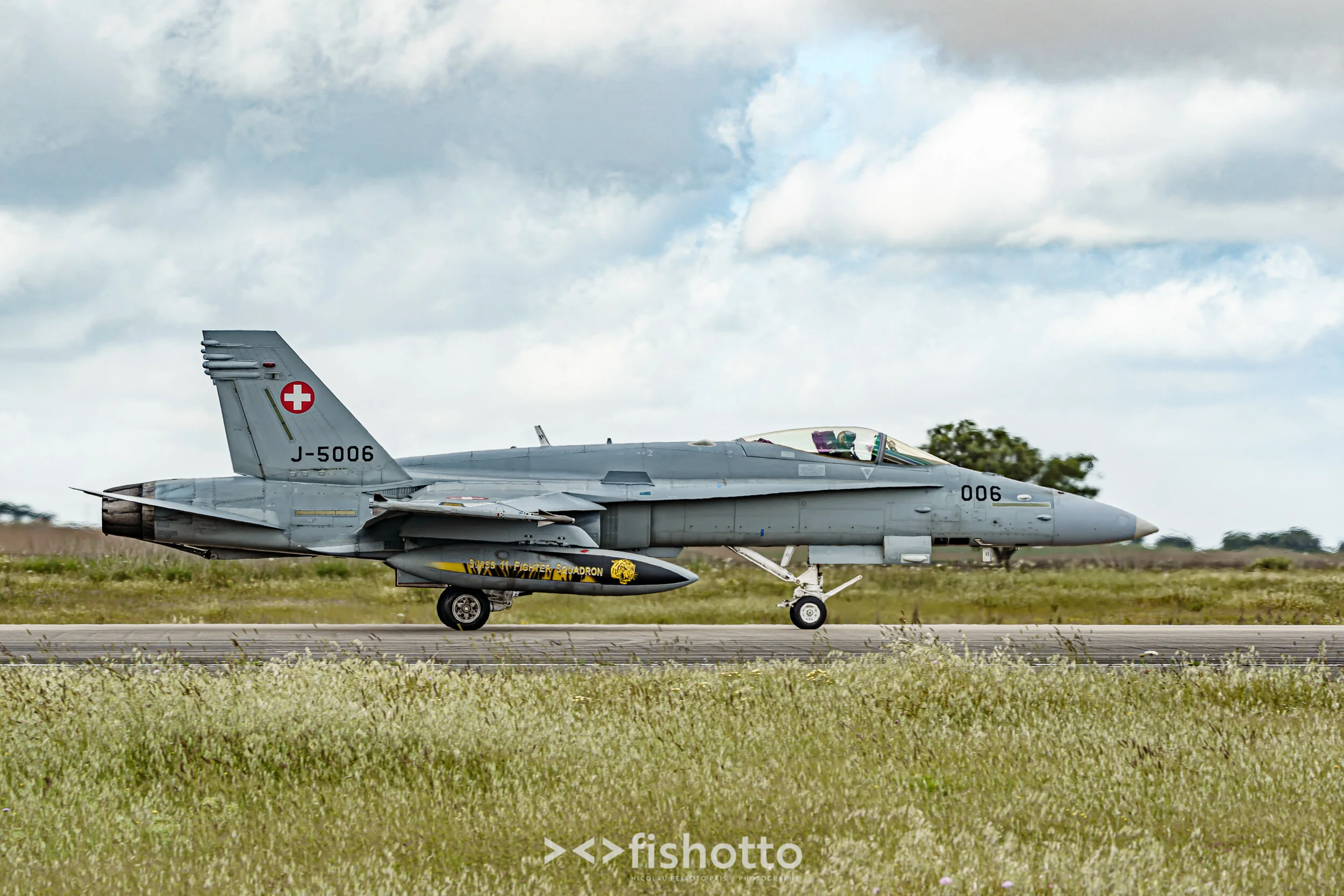 TigerMeet_2021_Best_Color_2500-27.jpg