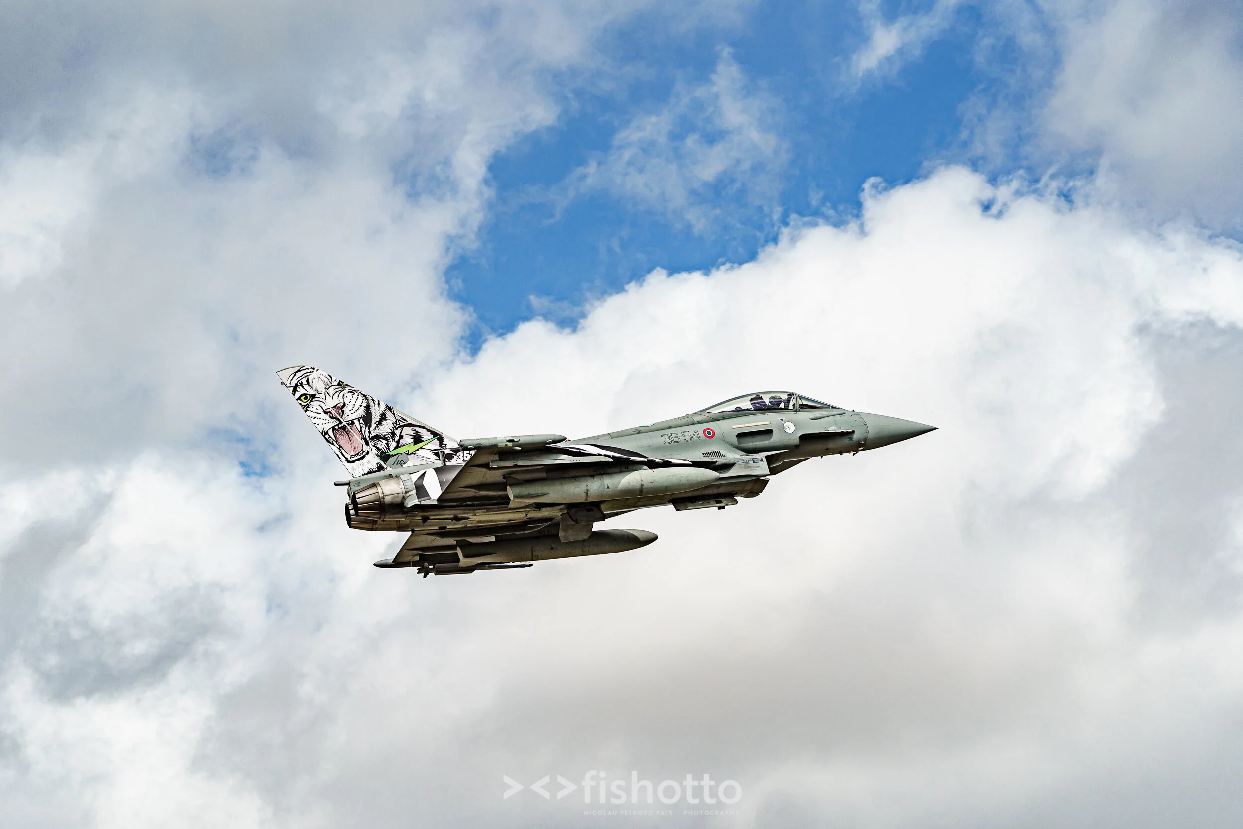 TigerMeet_2021_Best_Color_2500-33.jpg