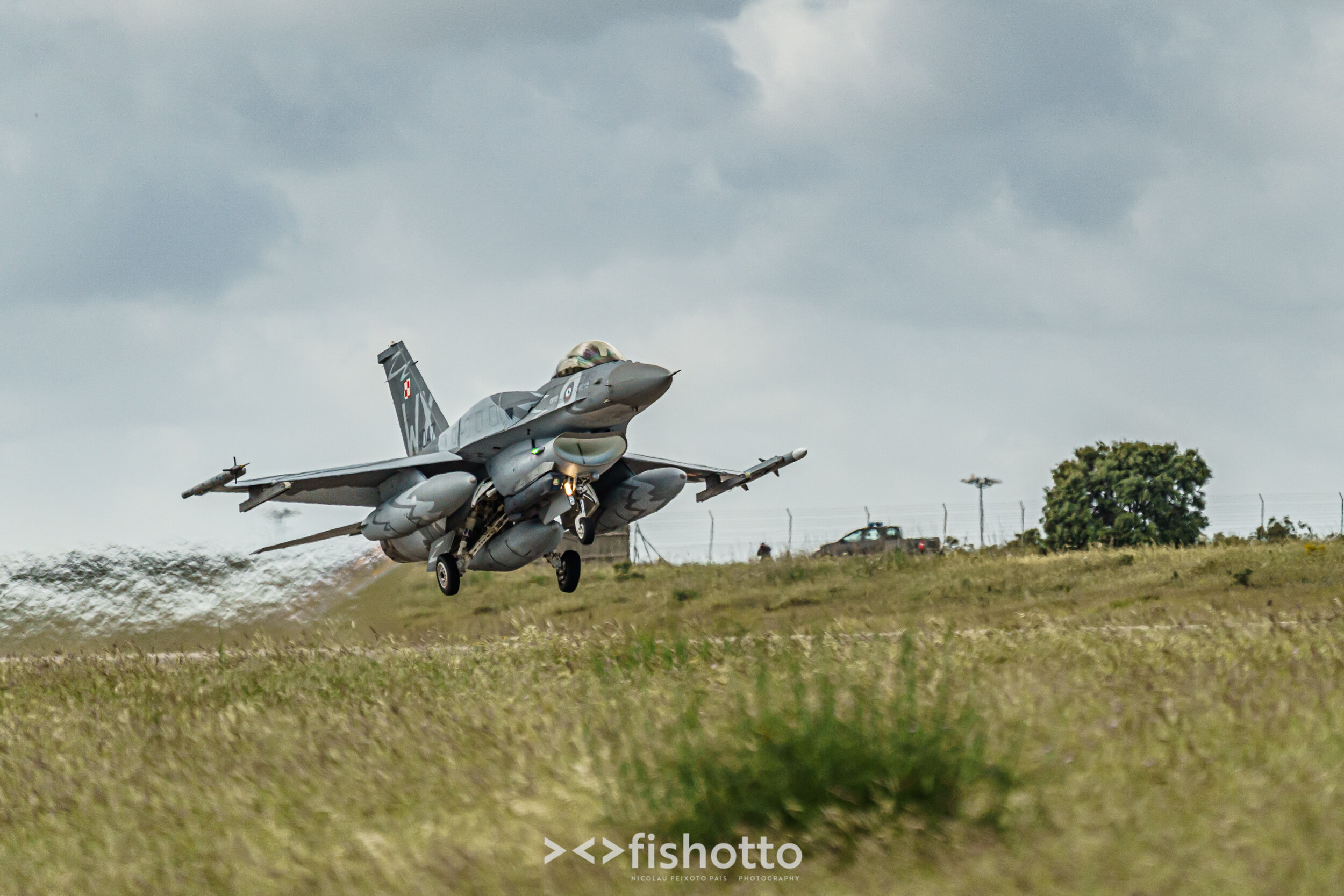 TigerMeet_2021_Best_Color_2500-35.jpg