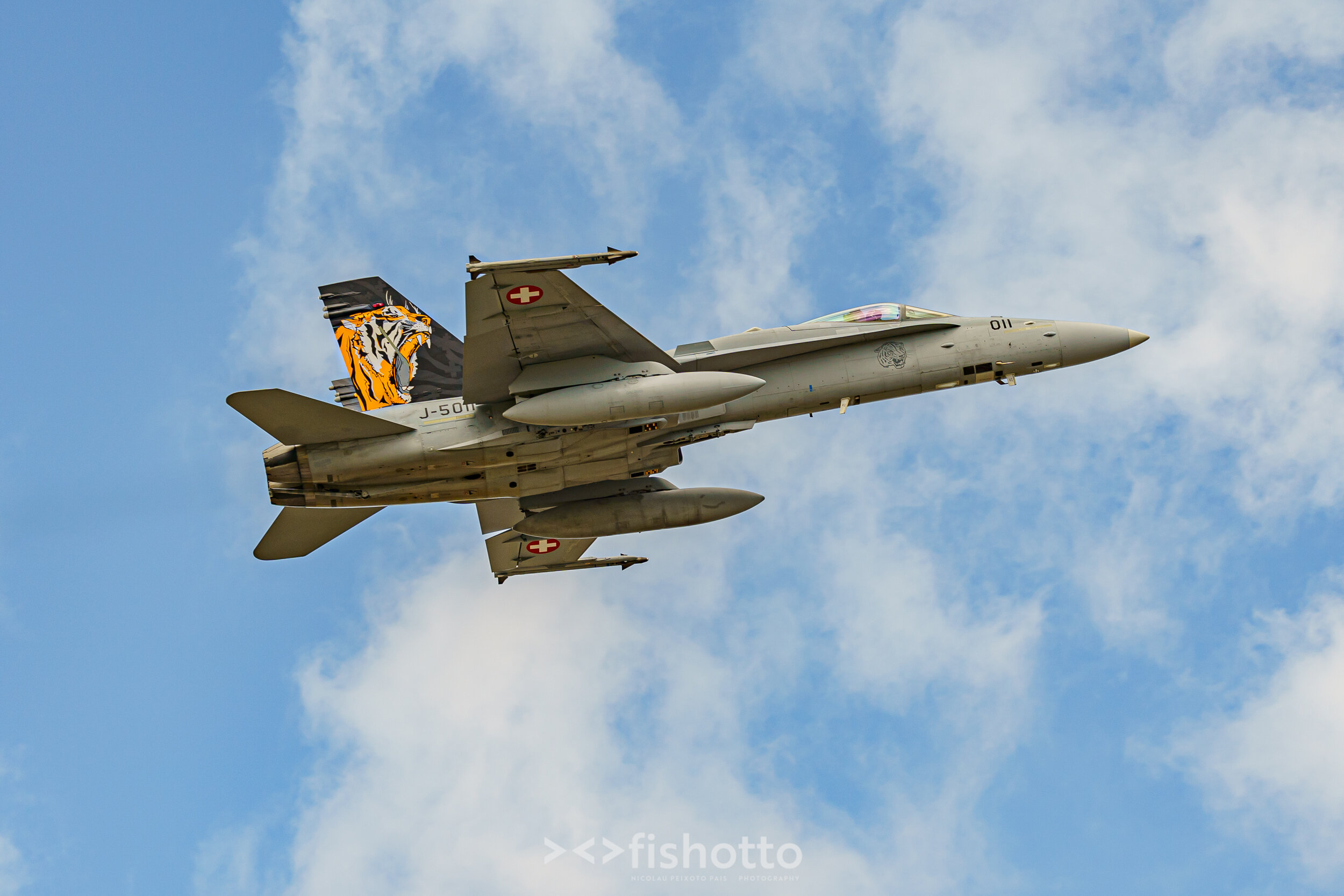 TigerMeet_2021_Best_Color_2500-39.jpg