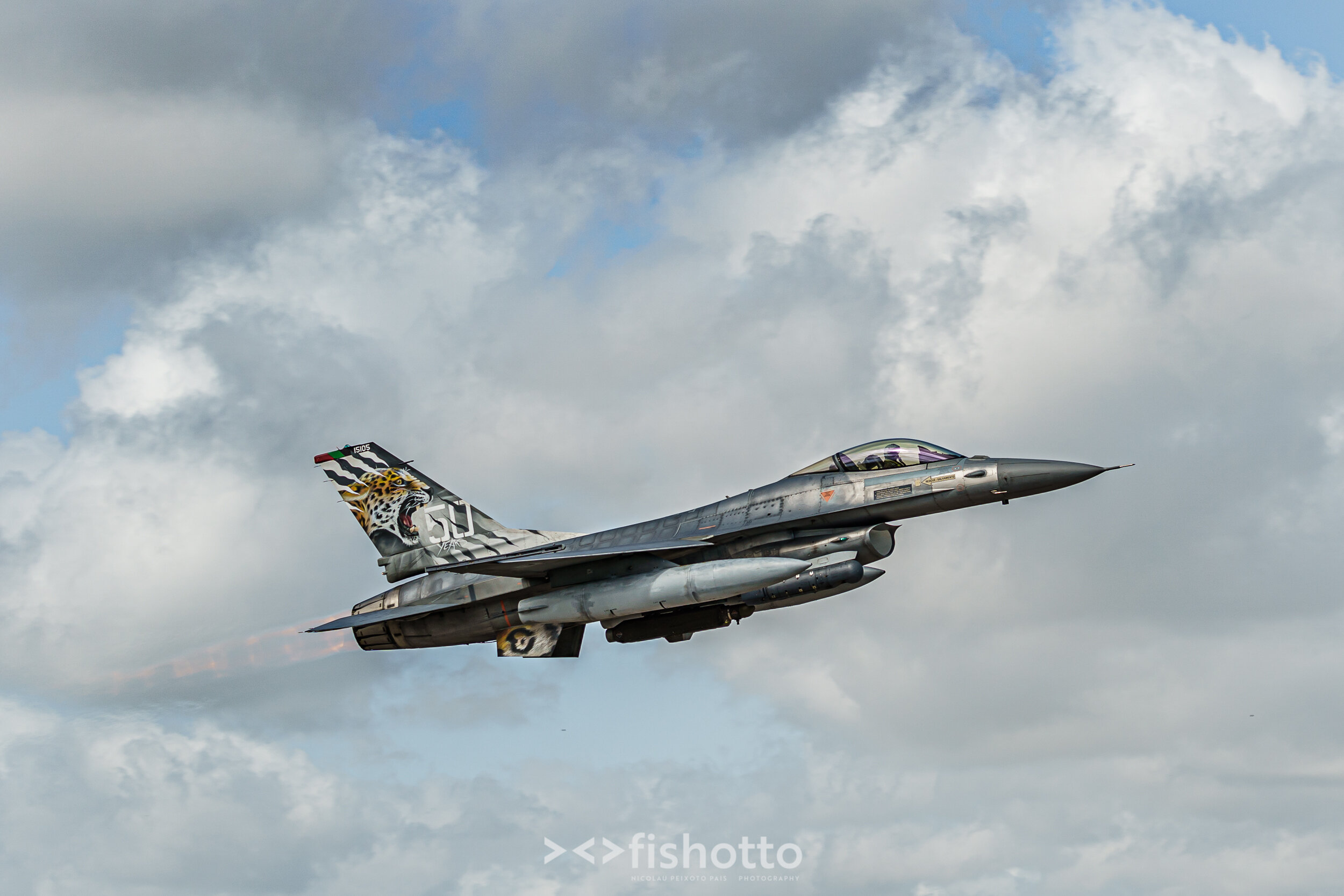 TigerMeet_2021_Best_Color_2500-45.jpg