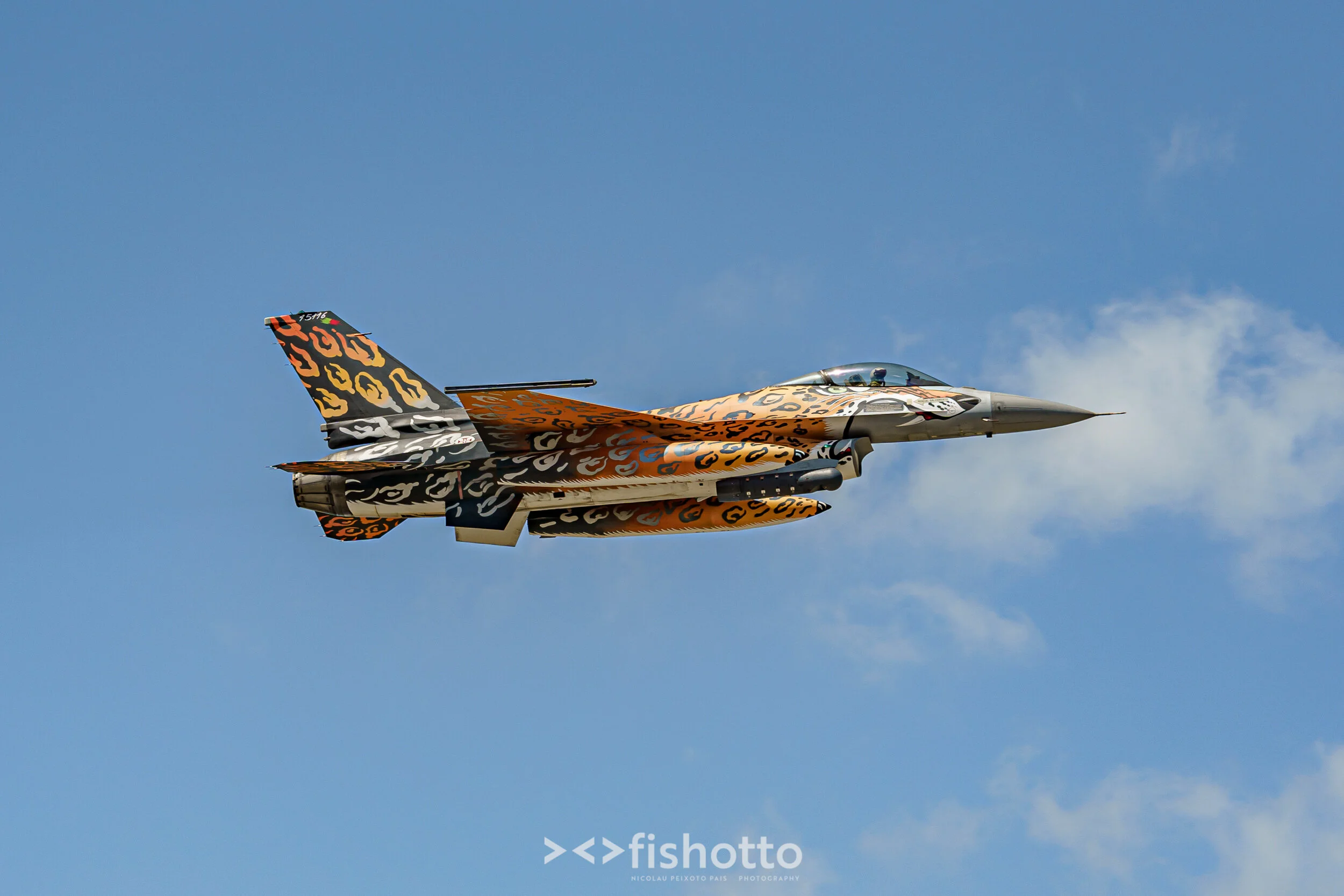 TigerMeet_2021_Best_Color_2500-47.jpg