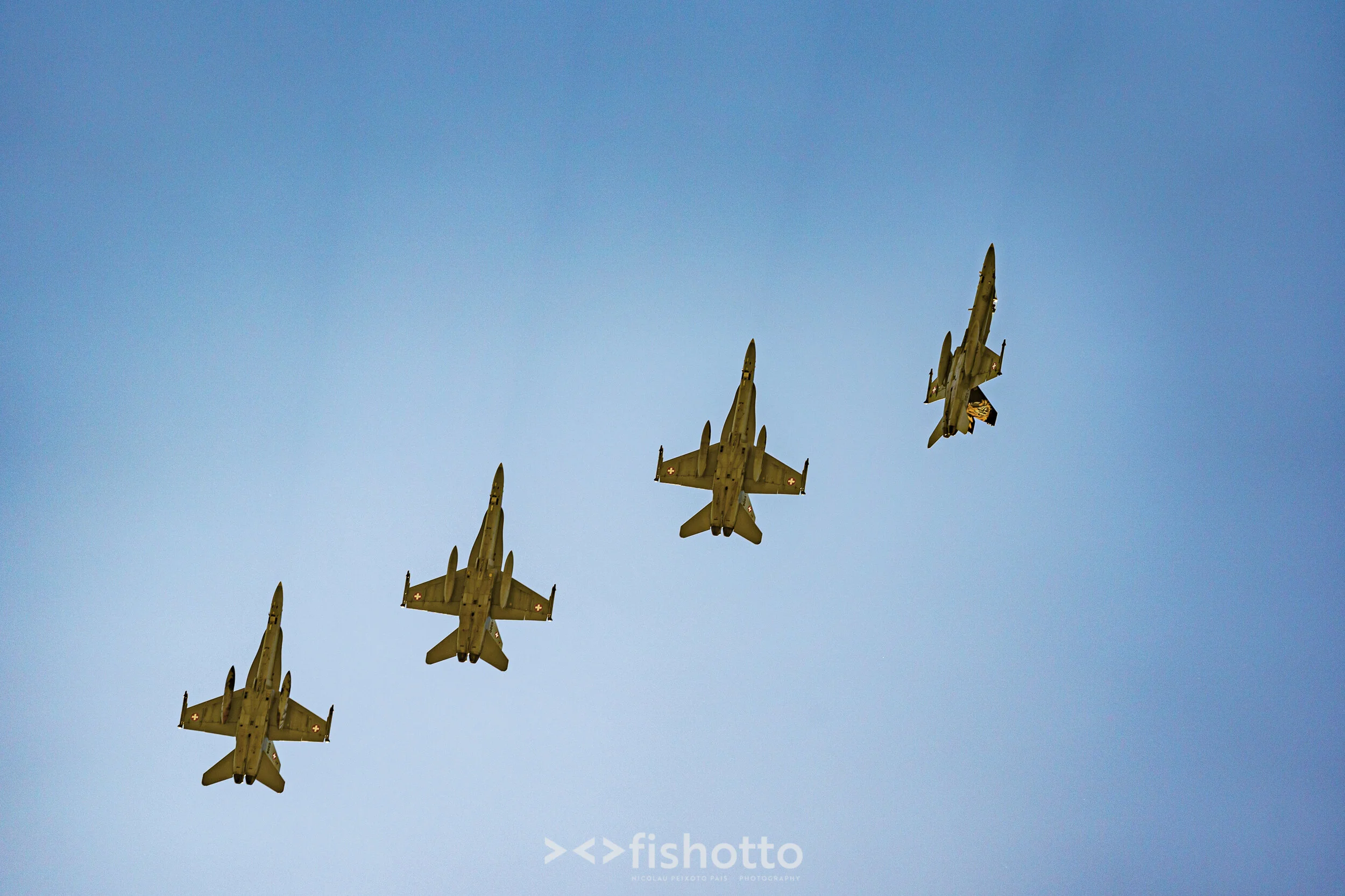 TigerMeet_2021_Best_Color_2500-48.jpg