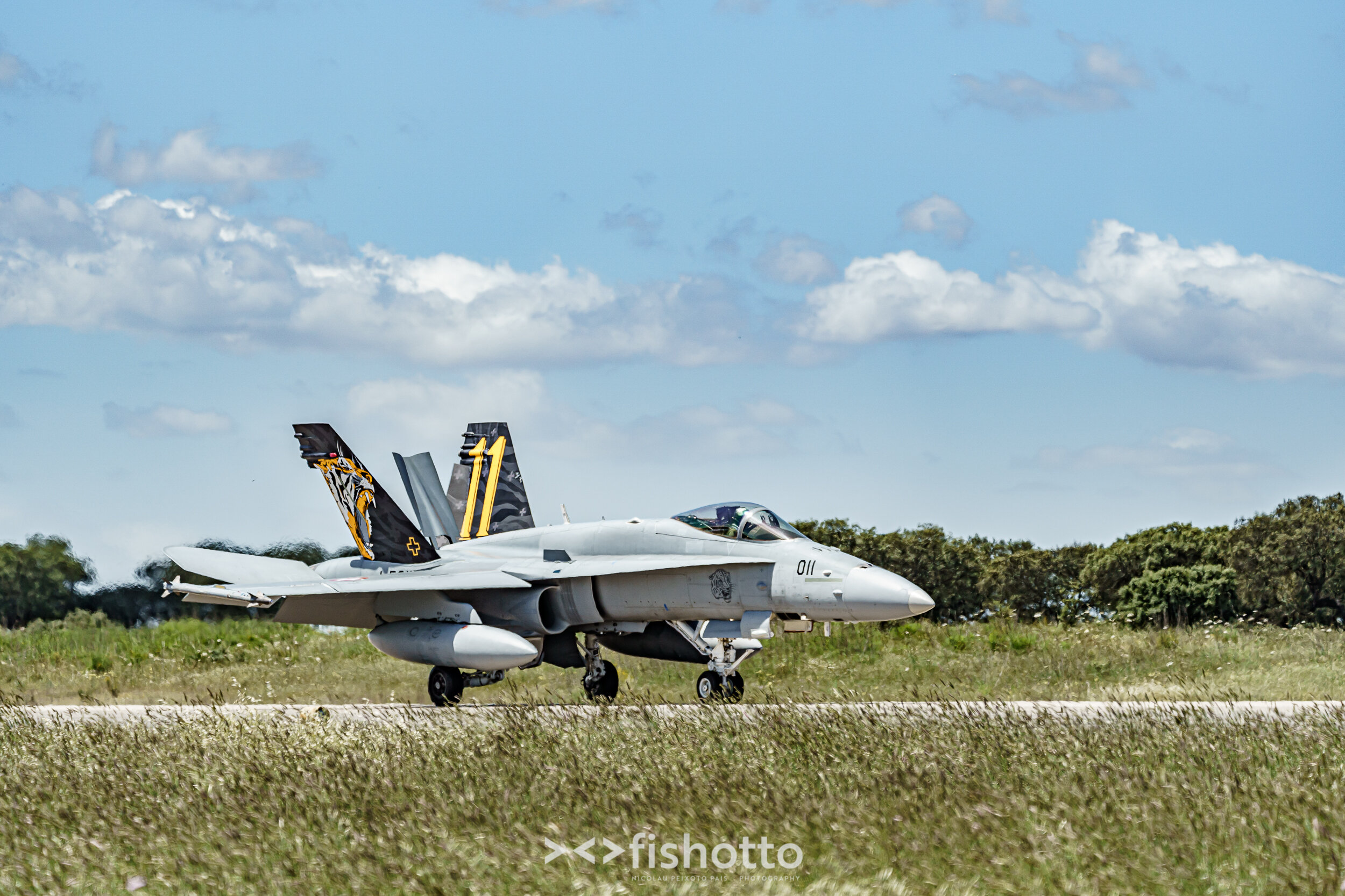 TigerMeet_2021_Best_Color_2500-49.jpg