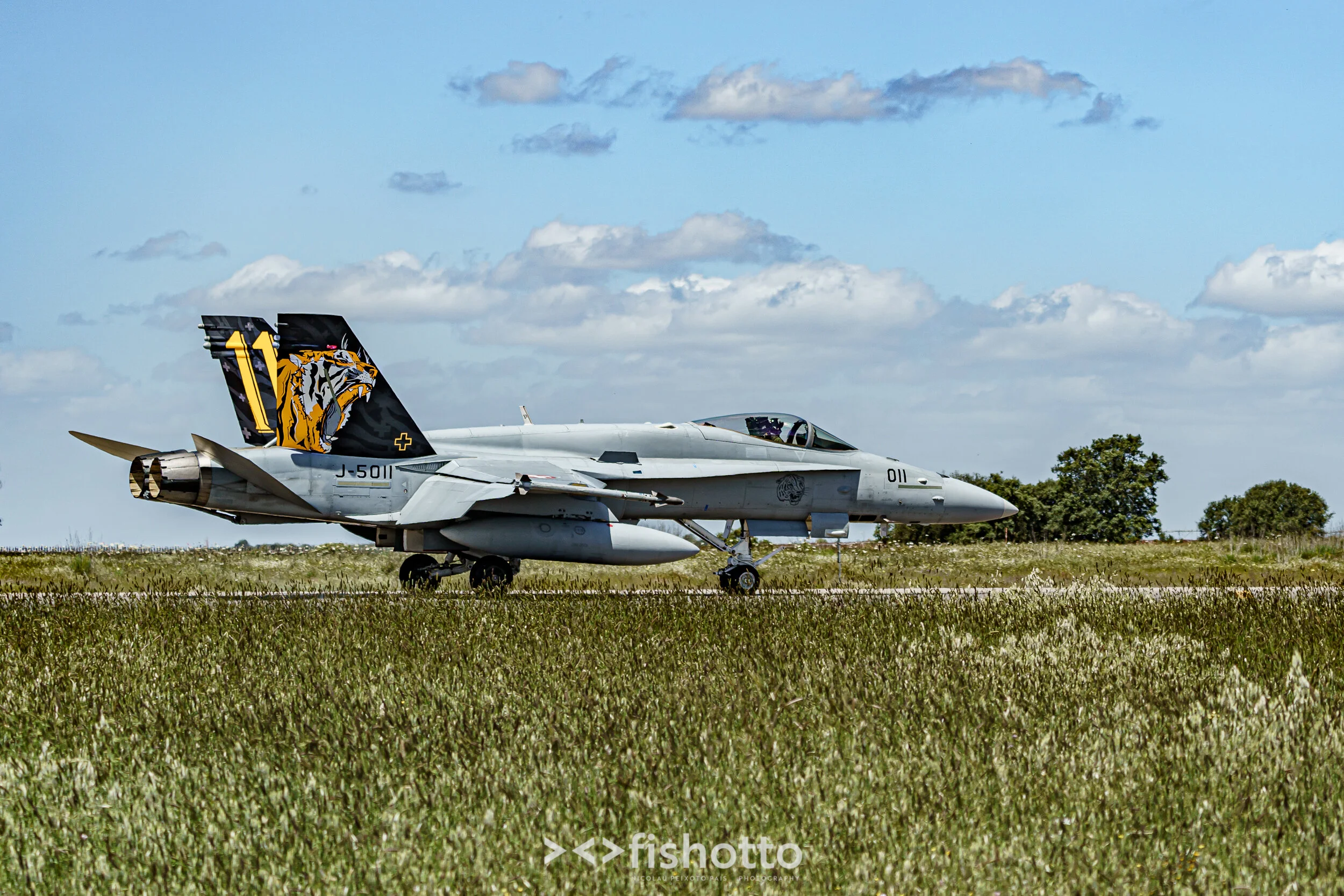 TigerMeet_2021_Best_Color_2500-50.jpg