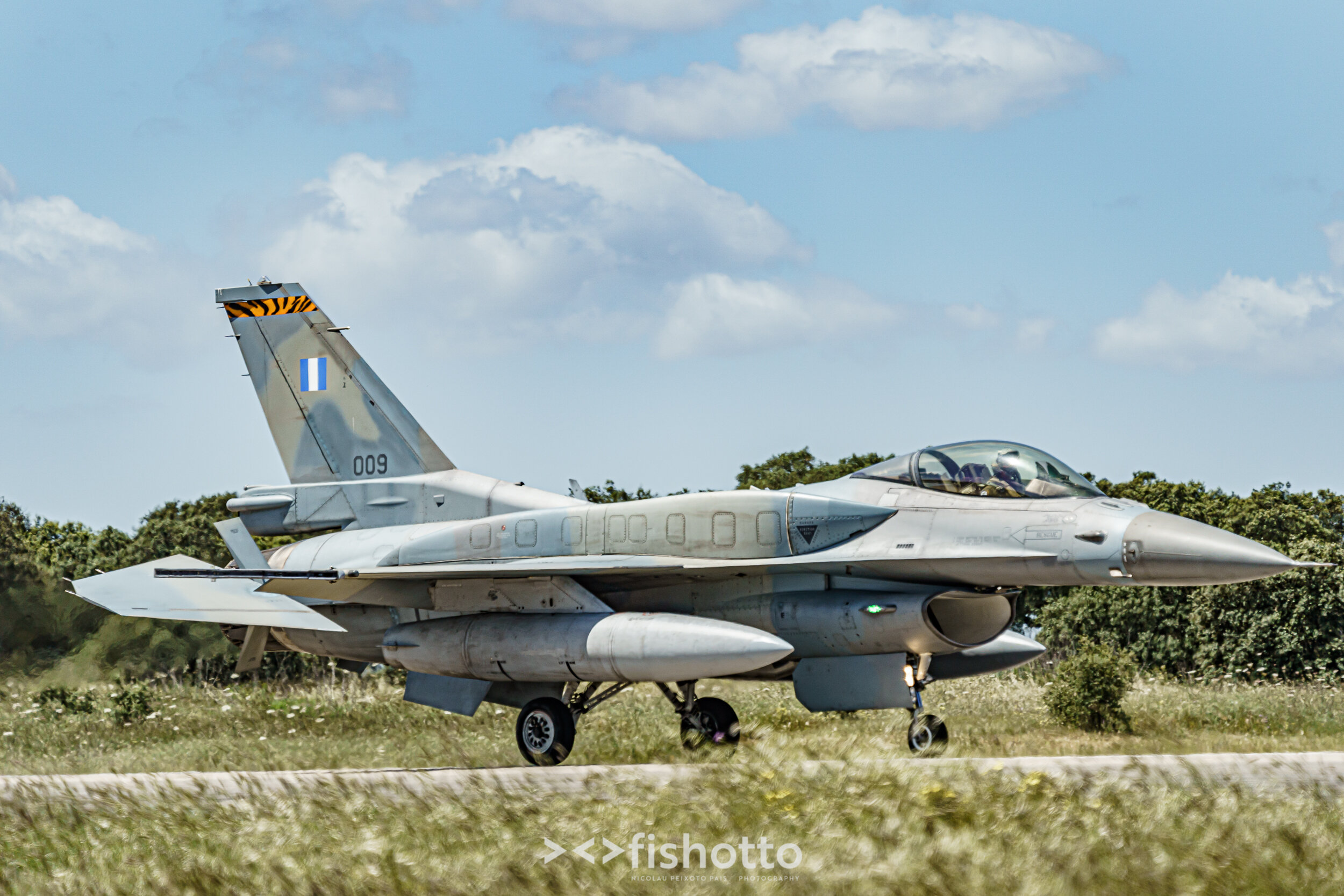 TigerMeet_2021_Best_Color_2500-56.jpg