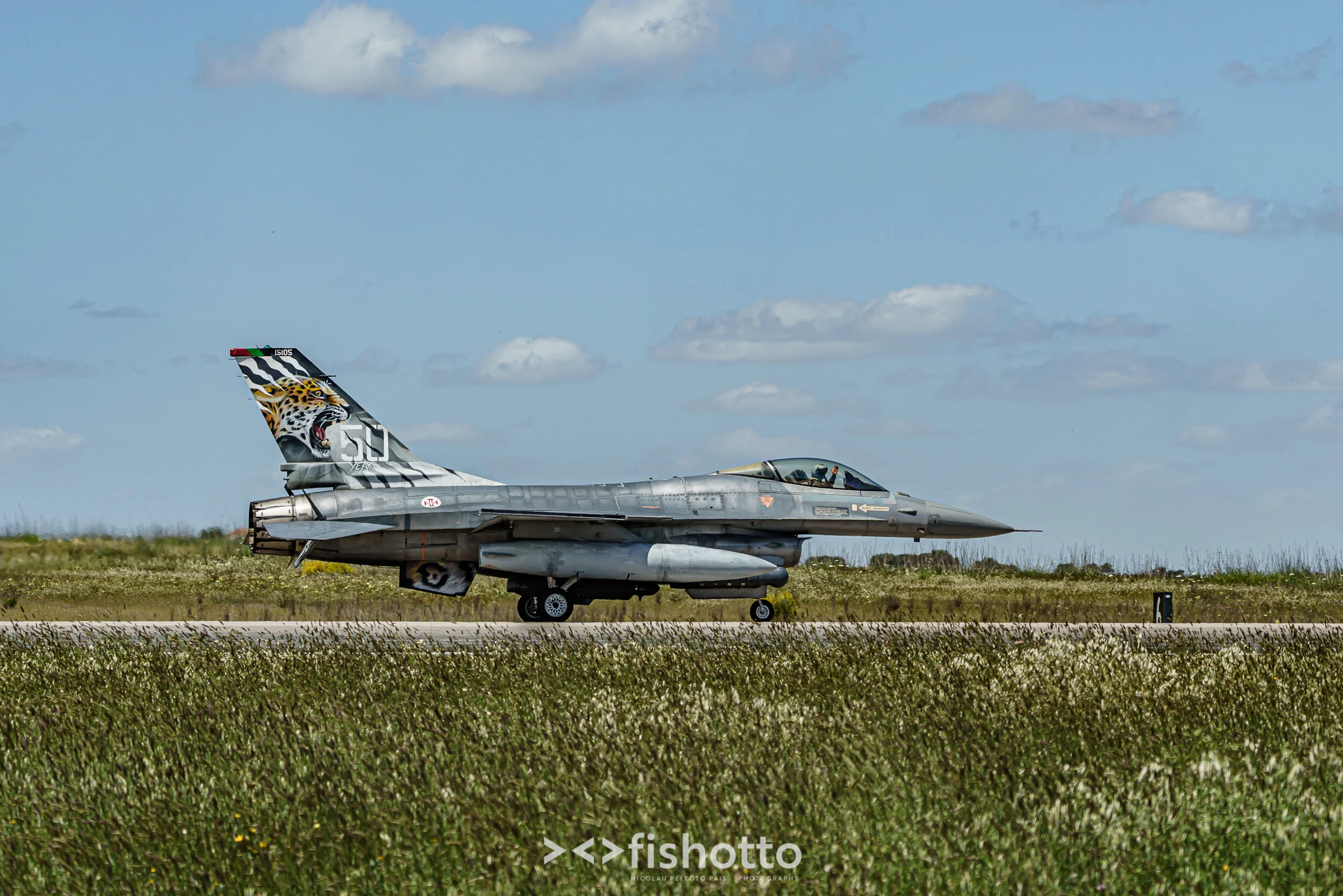 TigerMeet_2021_Best_Color_2500-57.jpg