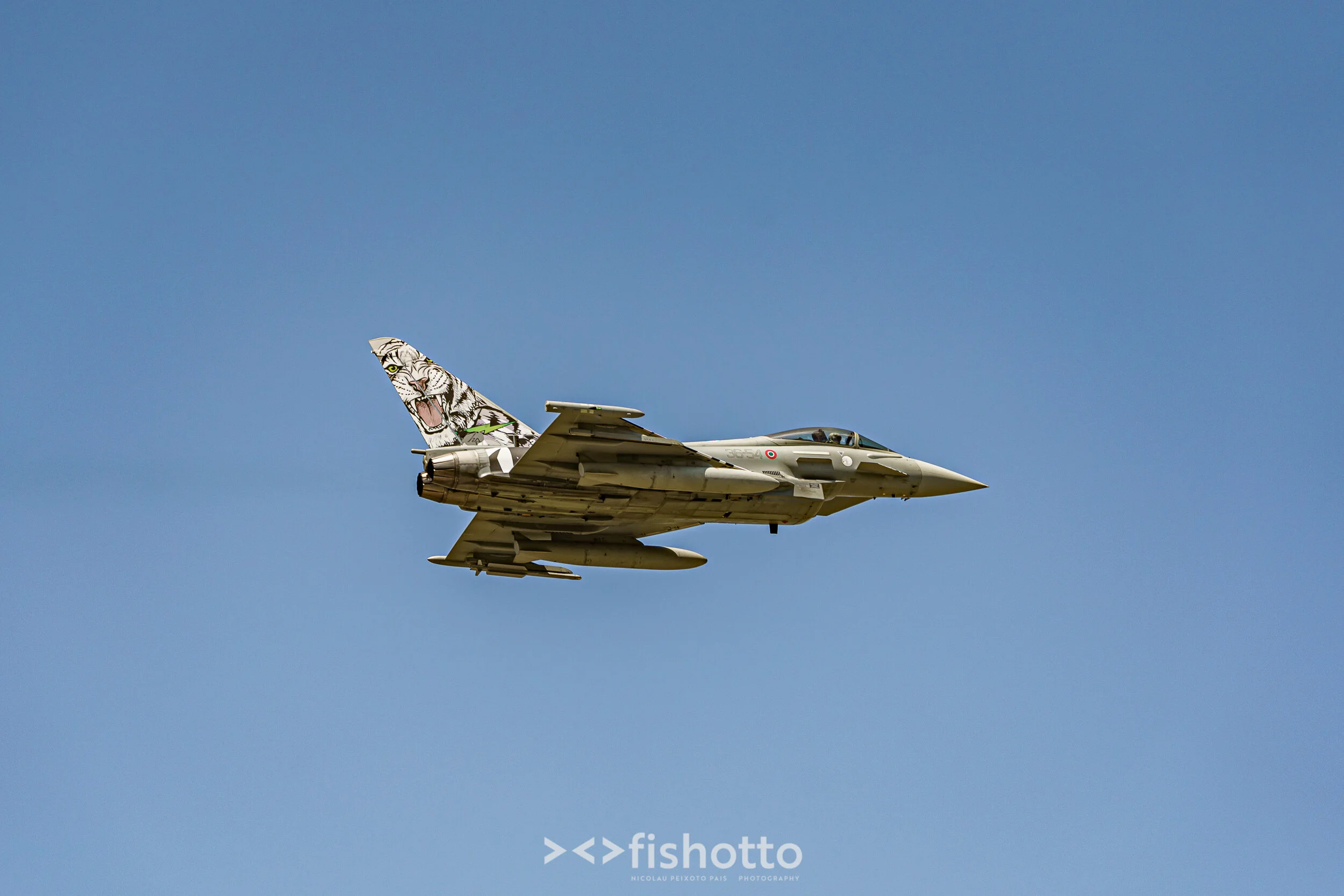 TigerMeet_2021_Best_Color_2500-60.jpg