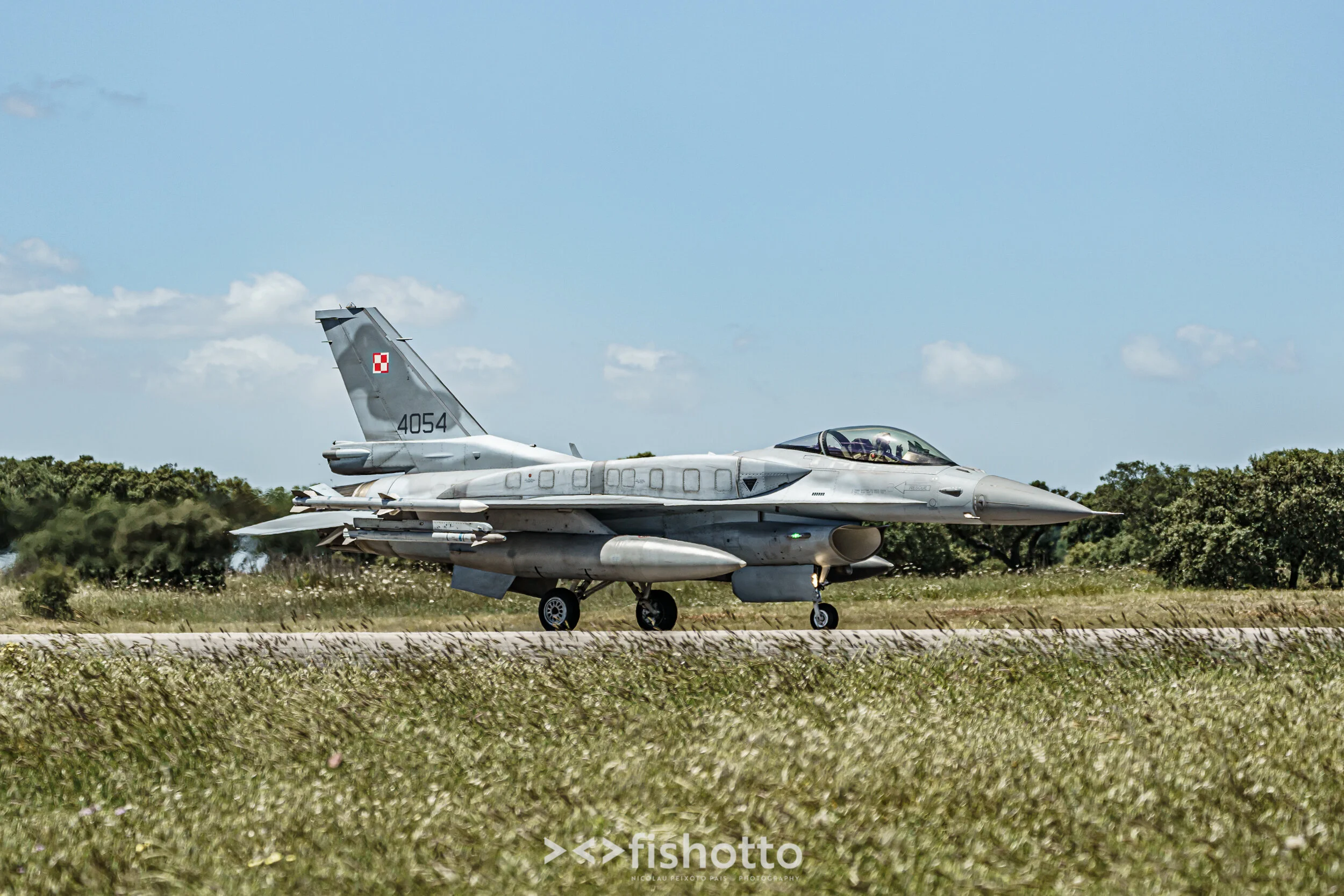 TigerMeet_2021_Best_Color_2500-59.jpg