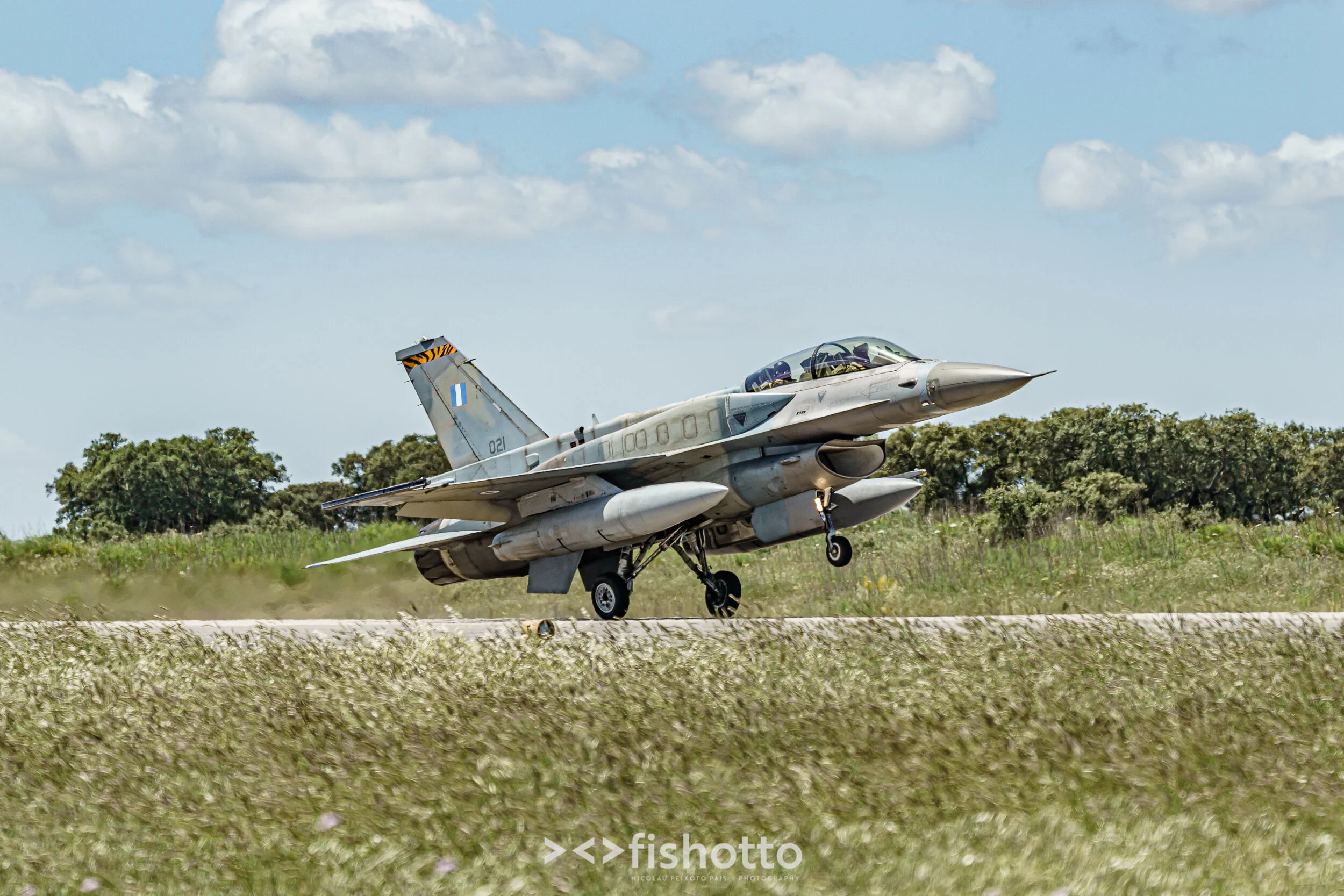 TigerMeet_2021_Best_Color_2500-62.jpg