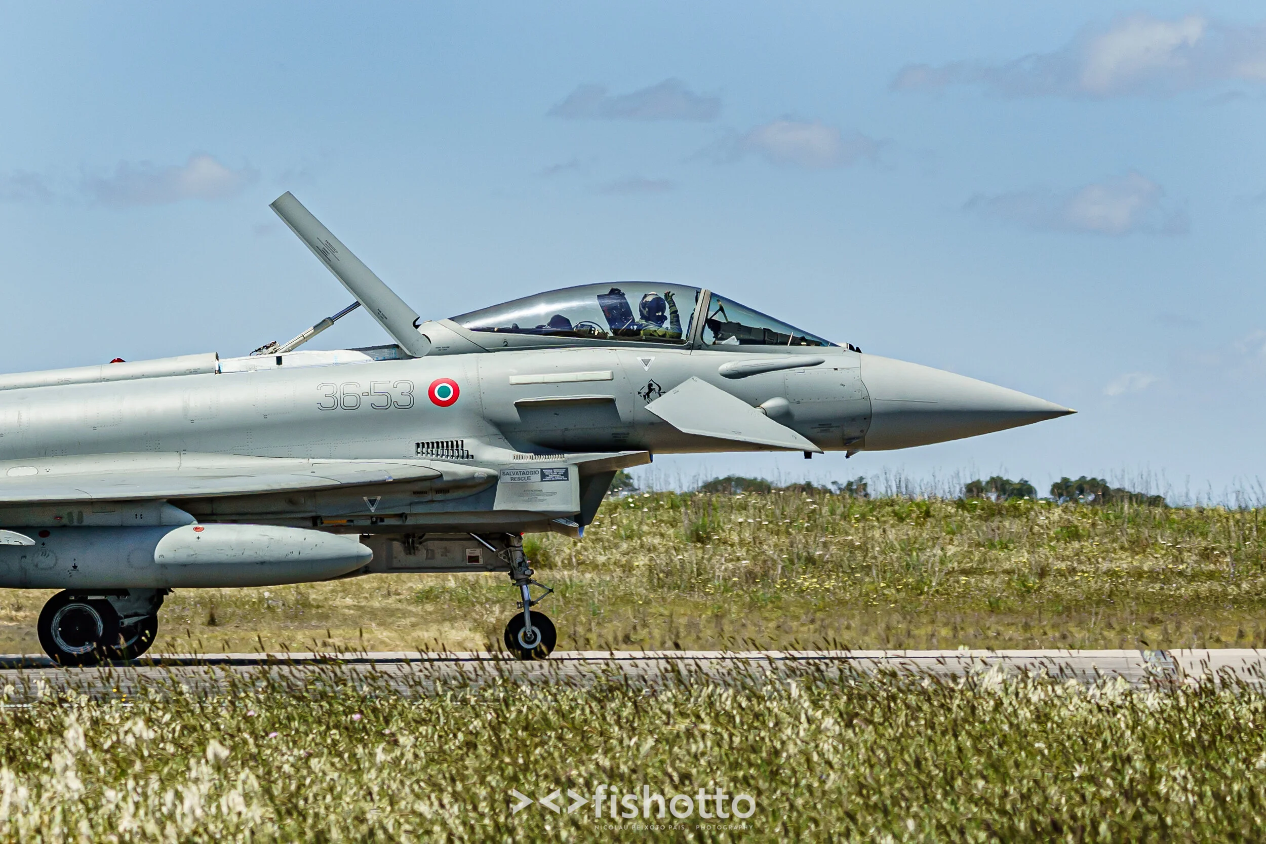 TigerMeet_2021_Best_Color_2500-63.jpg