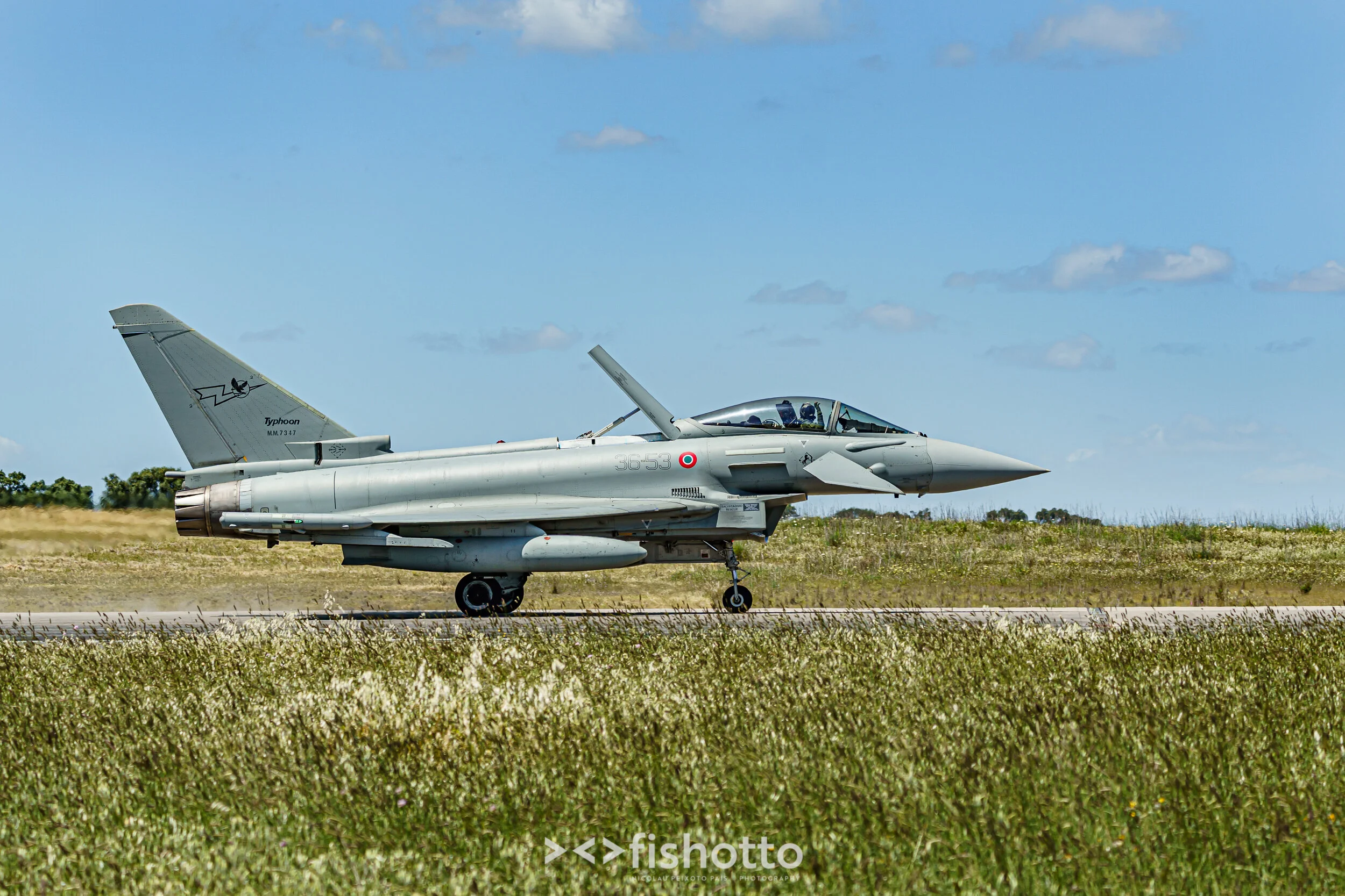 TigerMeet_2021_Best_Color_2500-64.jpg