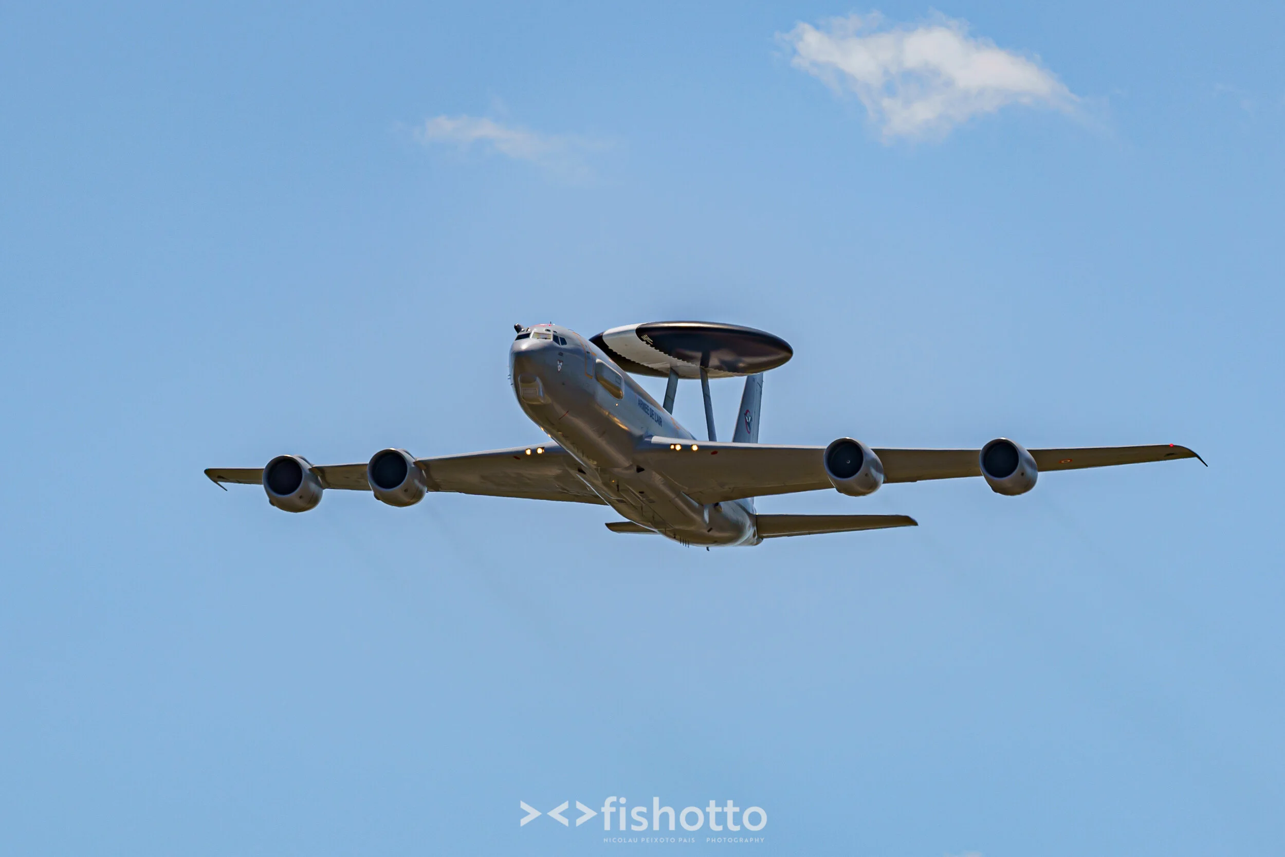 TigerMeet_2021_Best_Color_2500-69.jpg