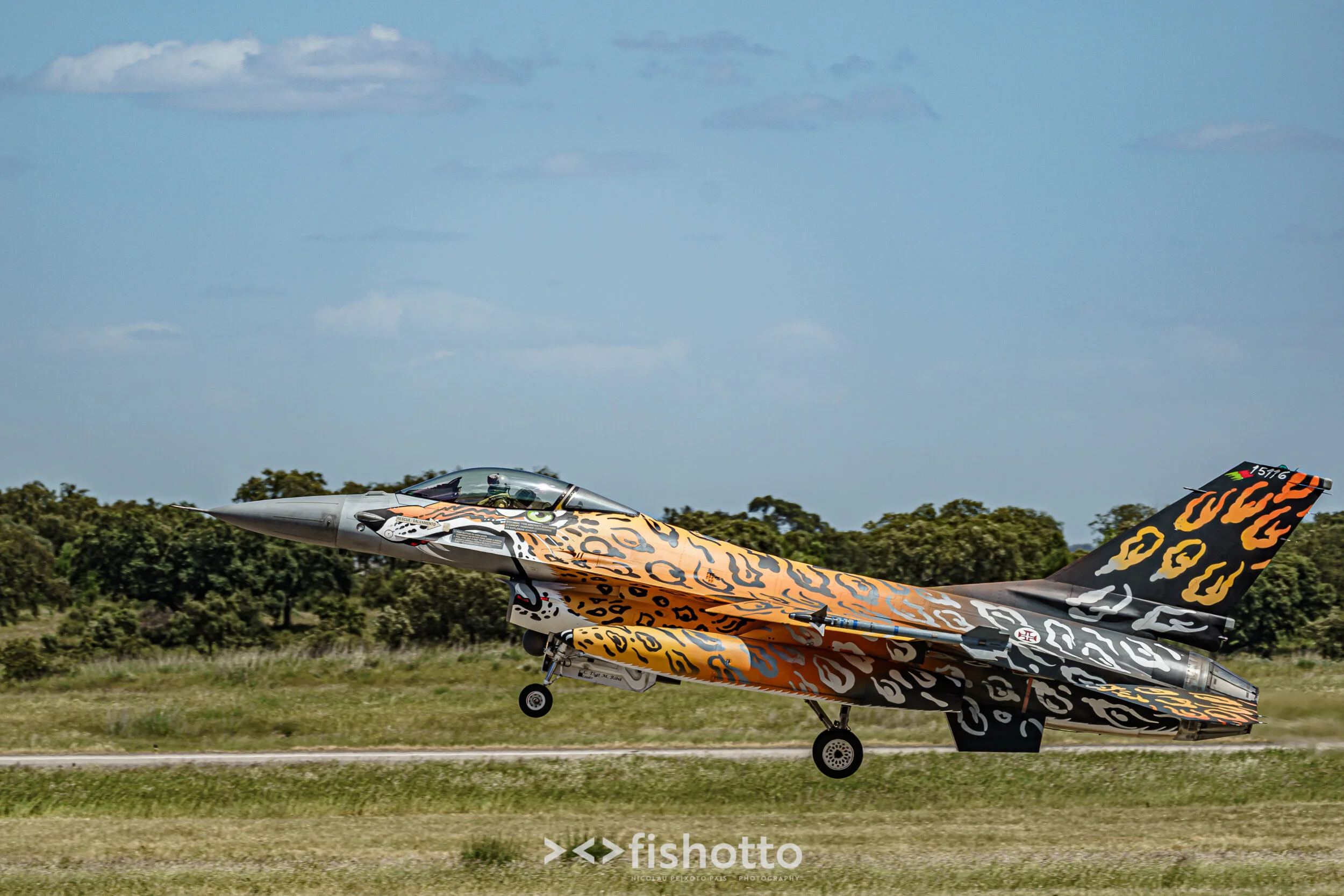 TigerMeet_2021_Best_Color_2500-72.jpg