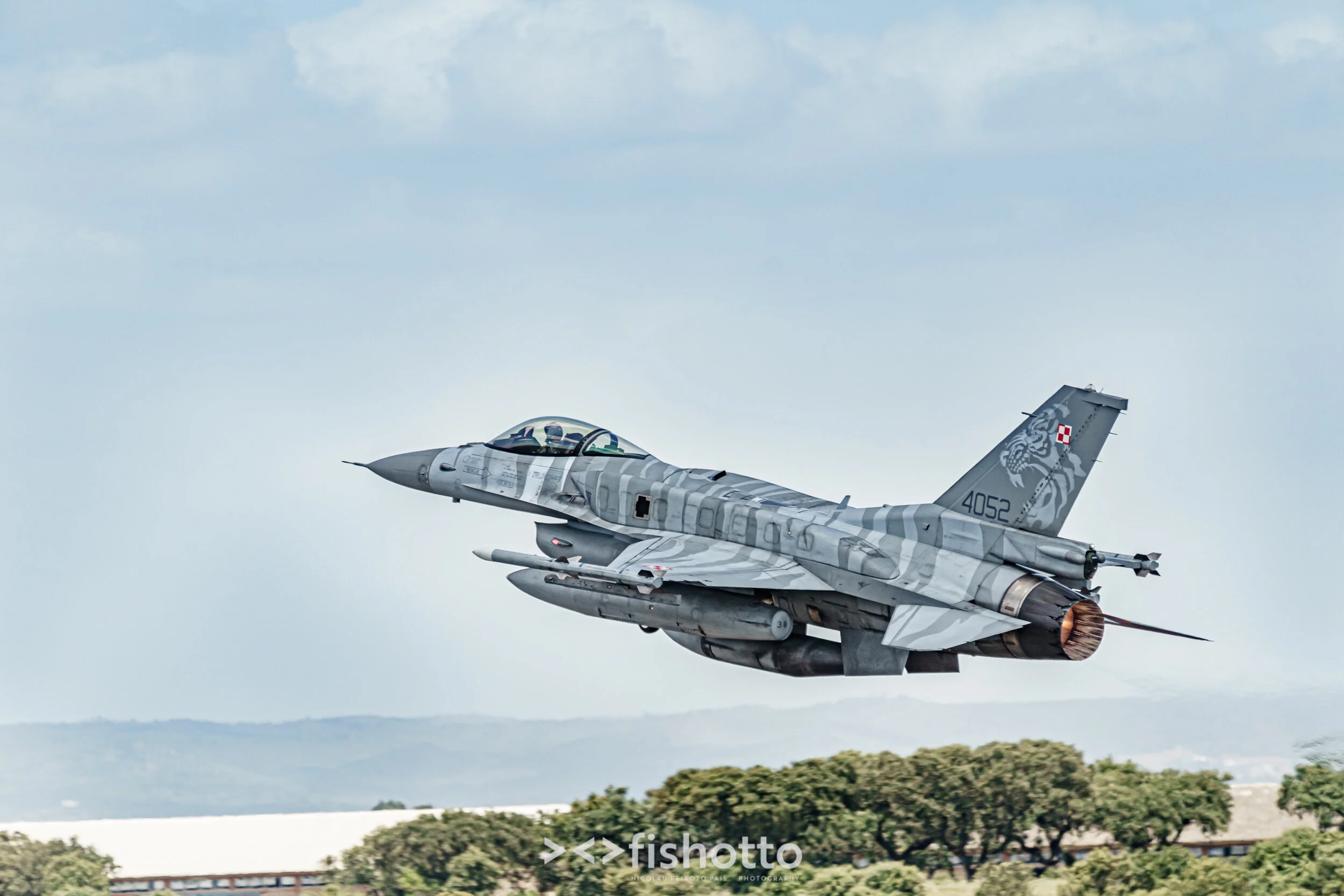 TigerMeet_2021_Best_Color_2500-73.jpg