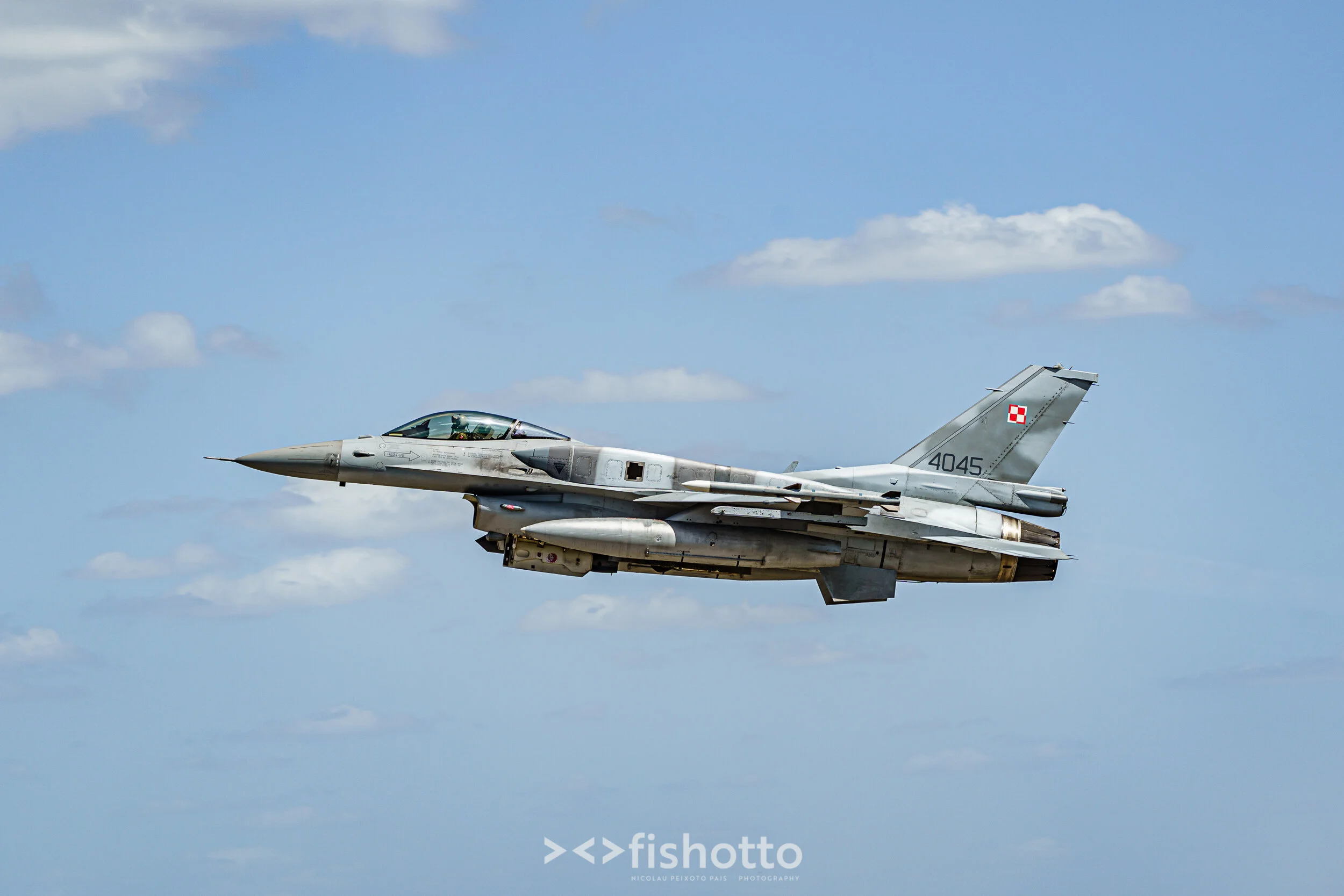 TigerMeet_2021_Best_Color_2500-80.jpg