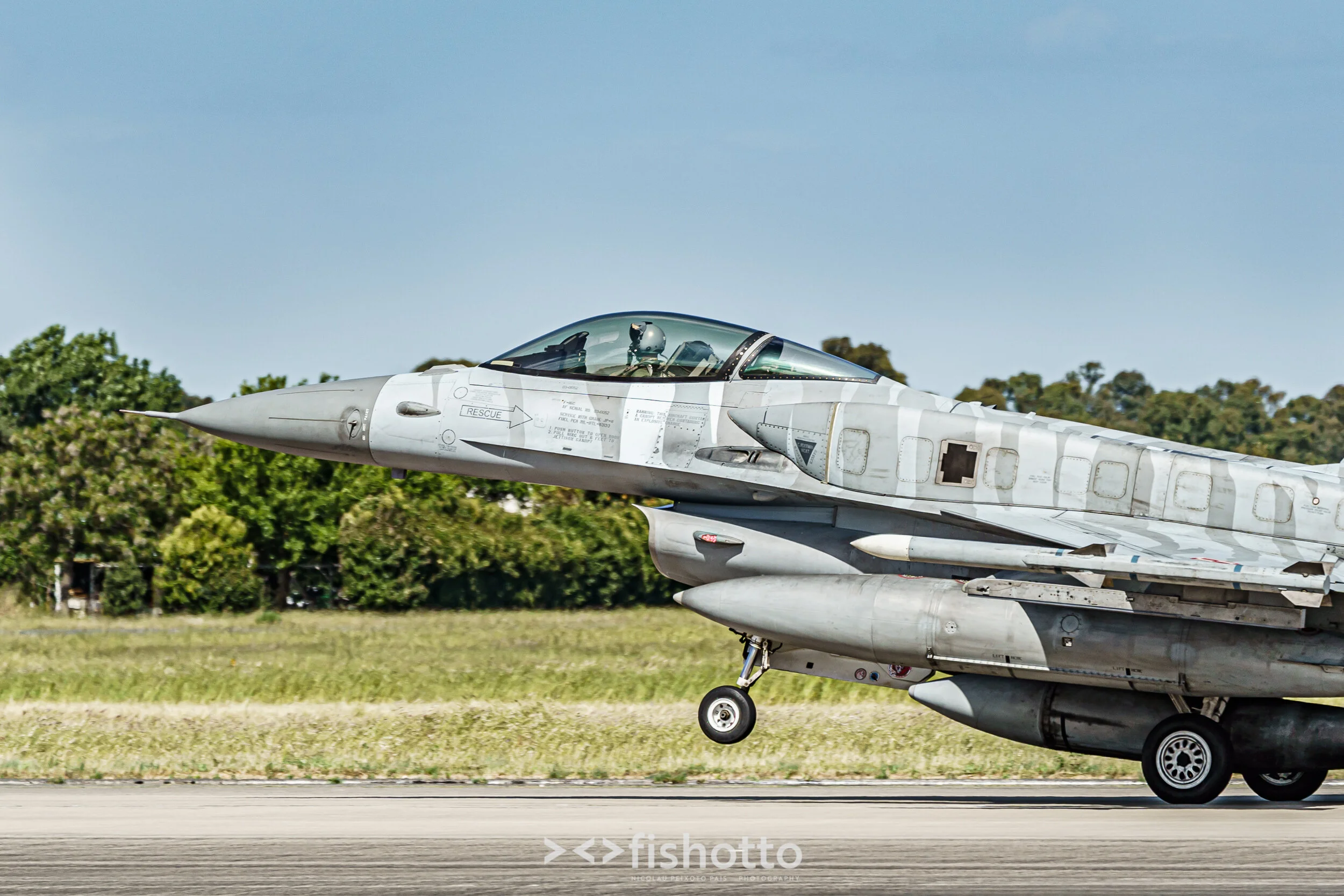 TigerMeet_2021_Best_Color_2500-91.jpg