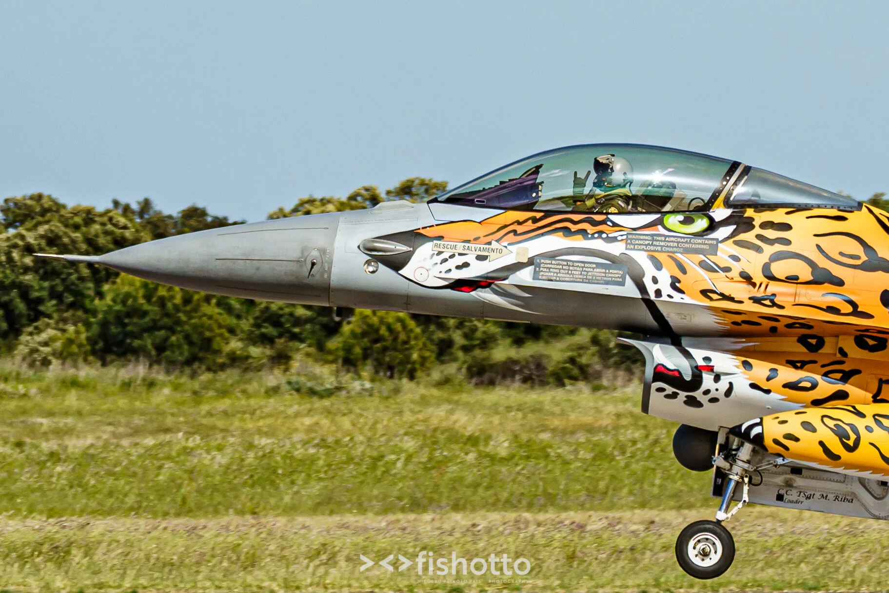 TigerMeet_2021_Best_Color_2500-95.jpg