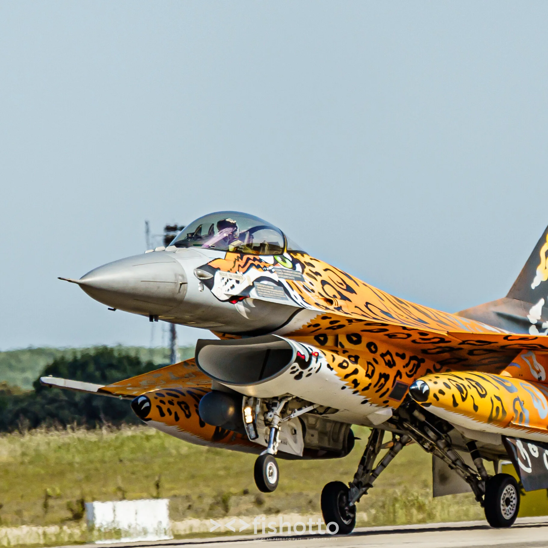 TigerMeet_2021_Best_Color_2500-94.jpg