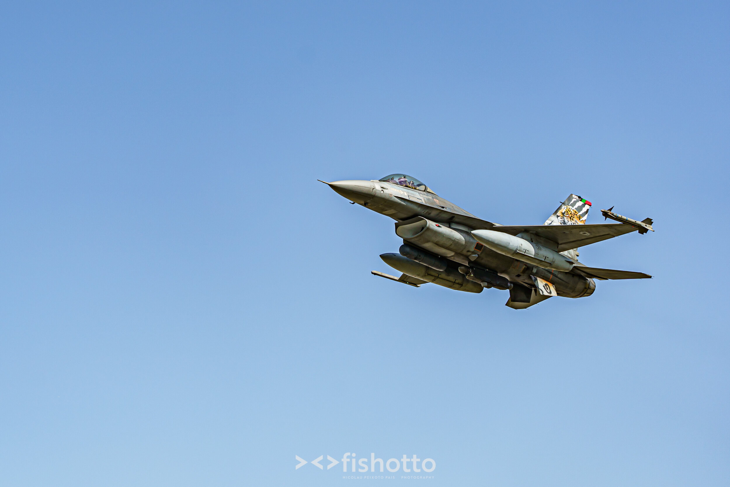 TigerMeet_2021_Best_Color_2500-97.jpg