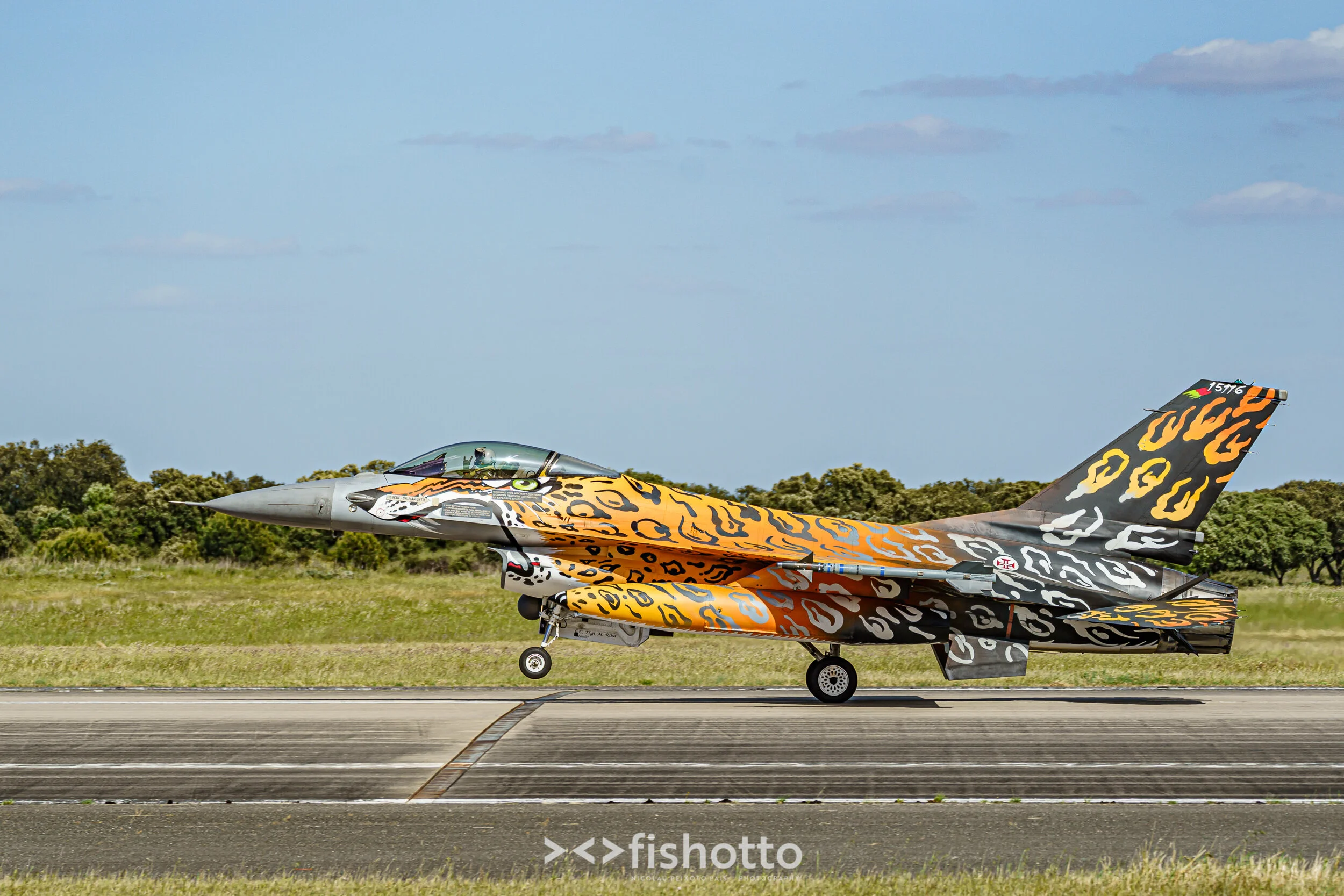 TigerMeet_2021_Best_Color_2500-96.jpg
