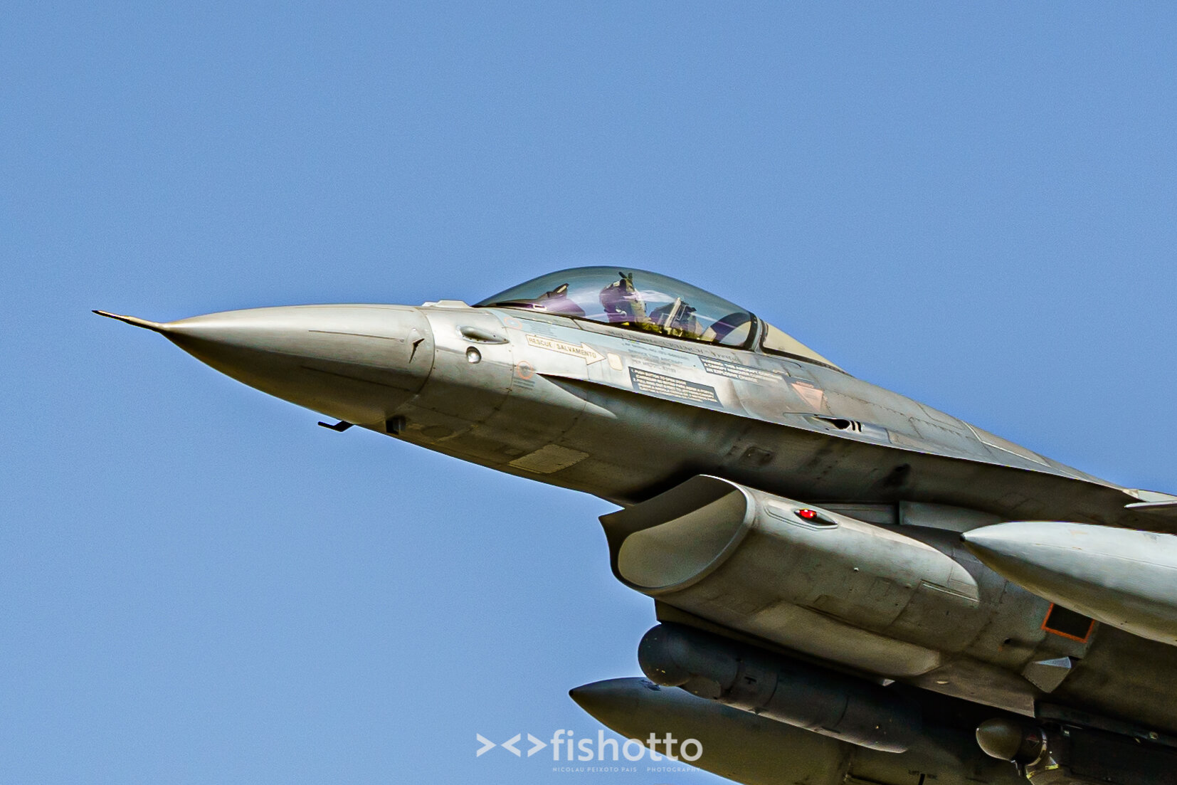TigerMeet_2021_Best_Color_2500-98.jpg